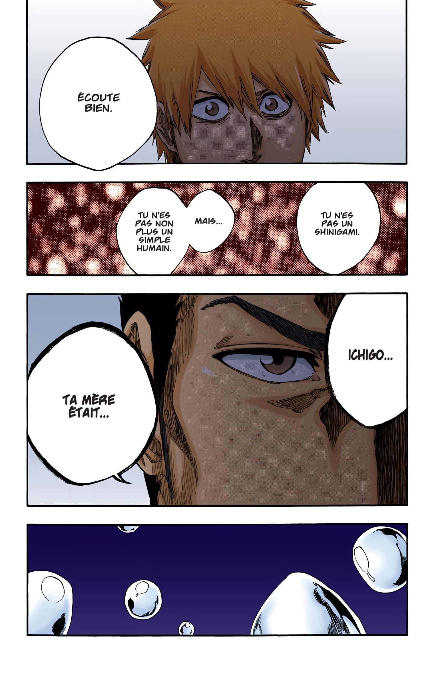 Read Bleach FR Manga Online