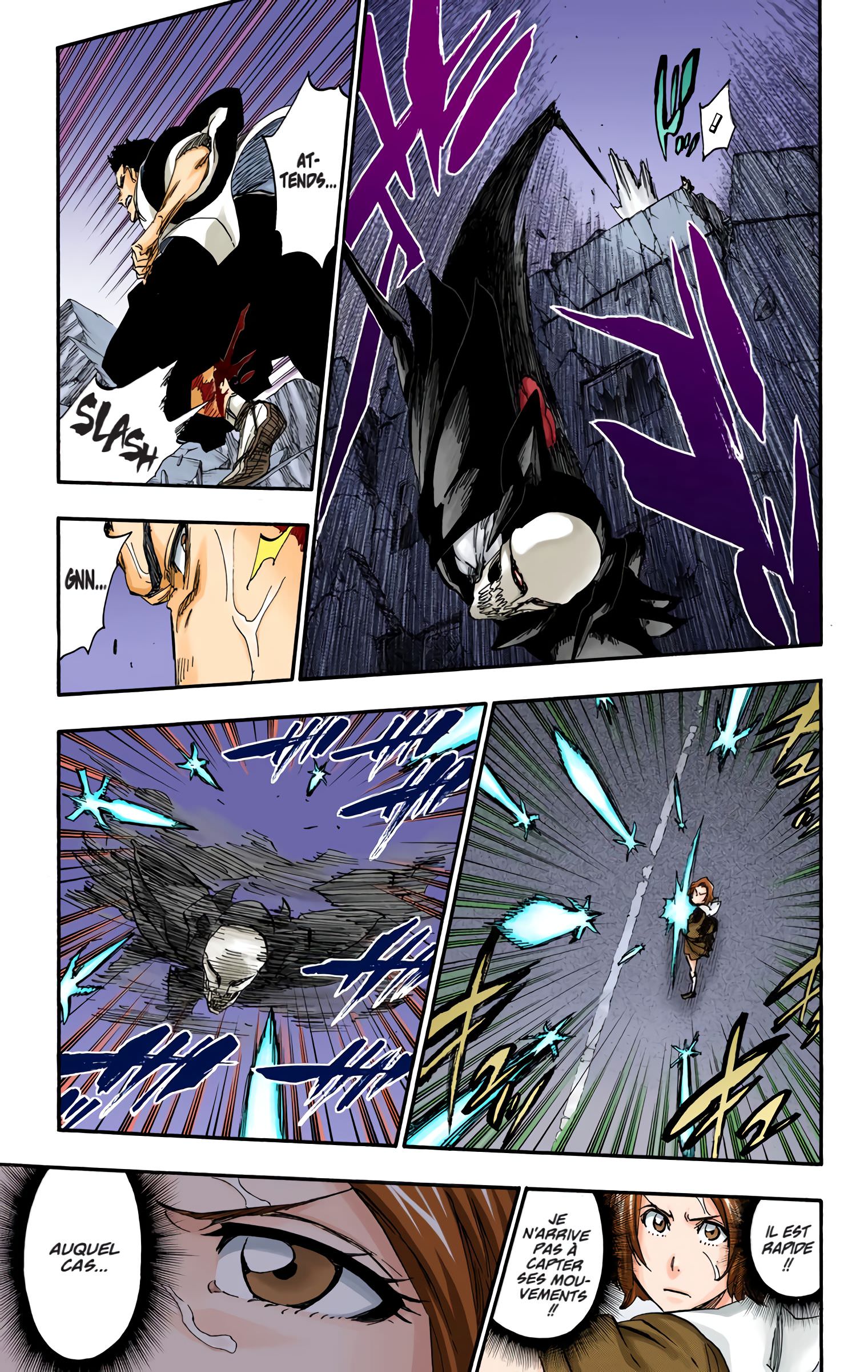 Read Bleach FR Manga Online