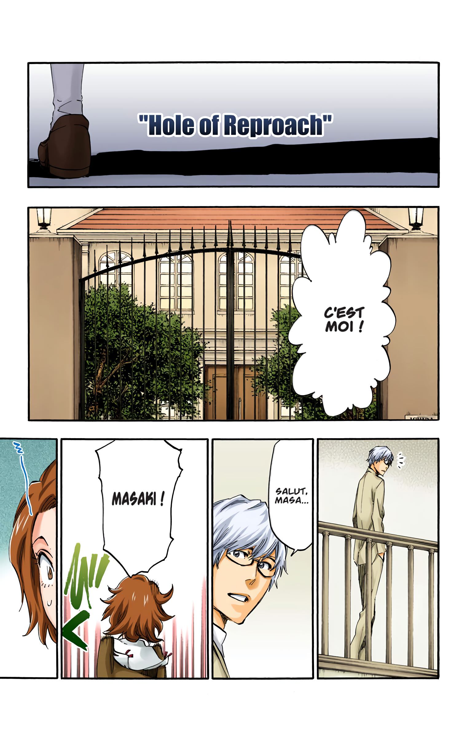Read Bleach FR Manga Online