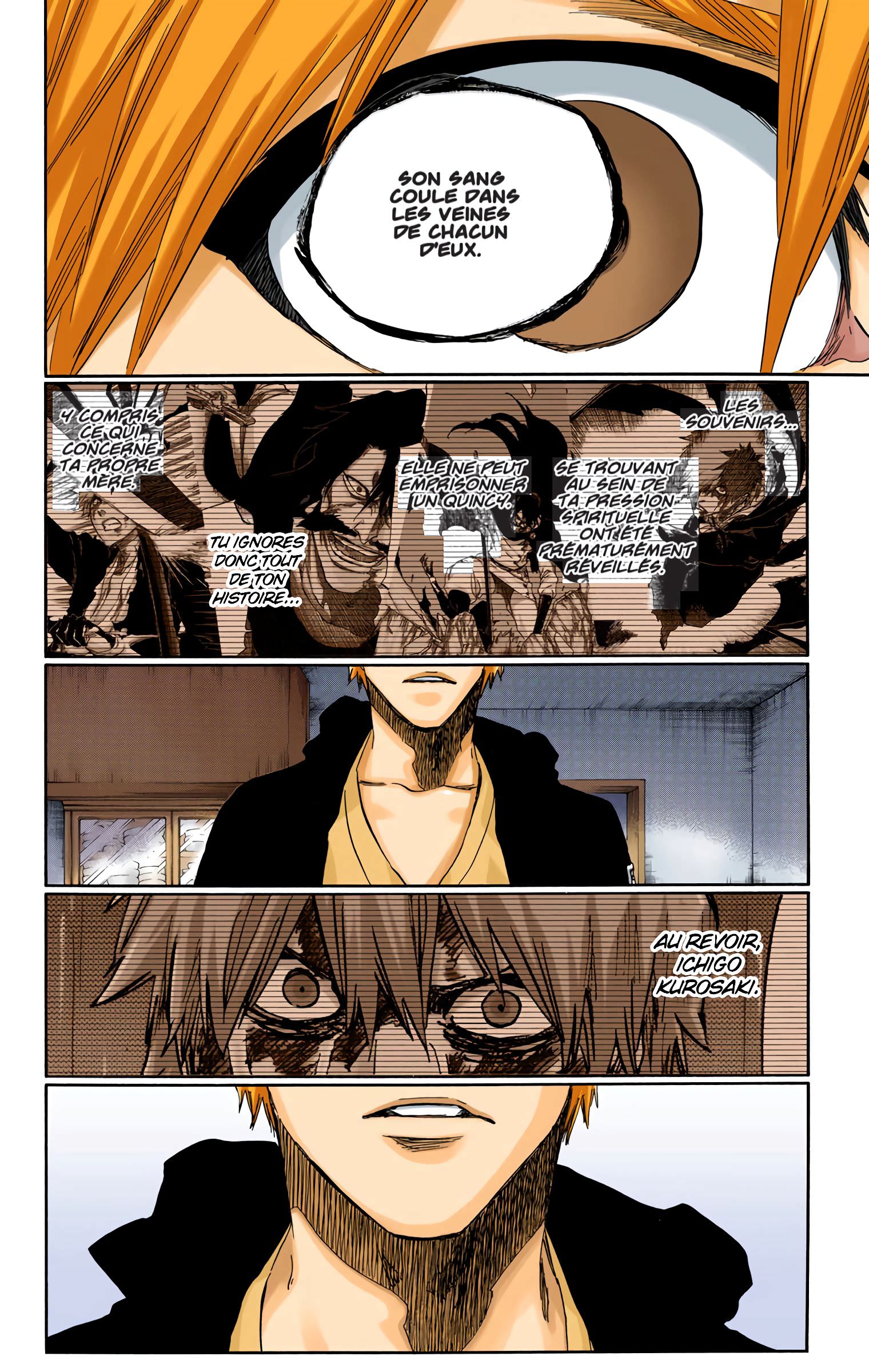 Read Bleach FR Manga Online