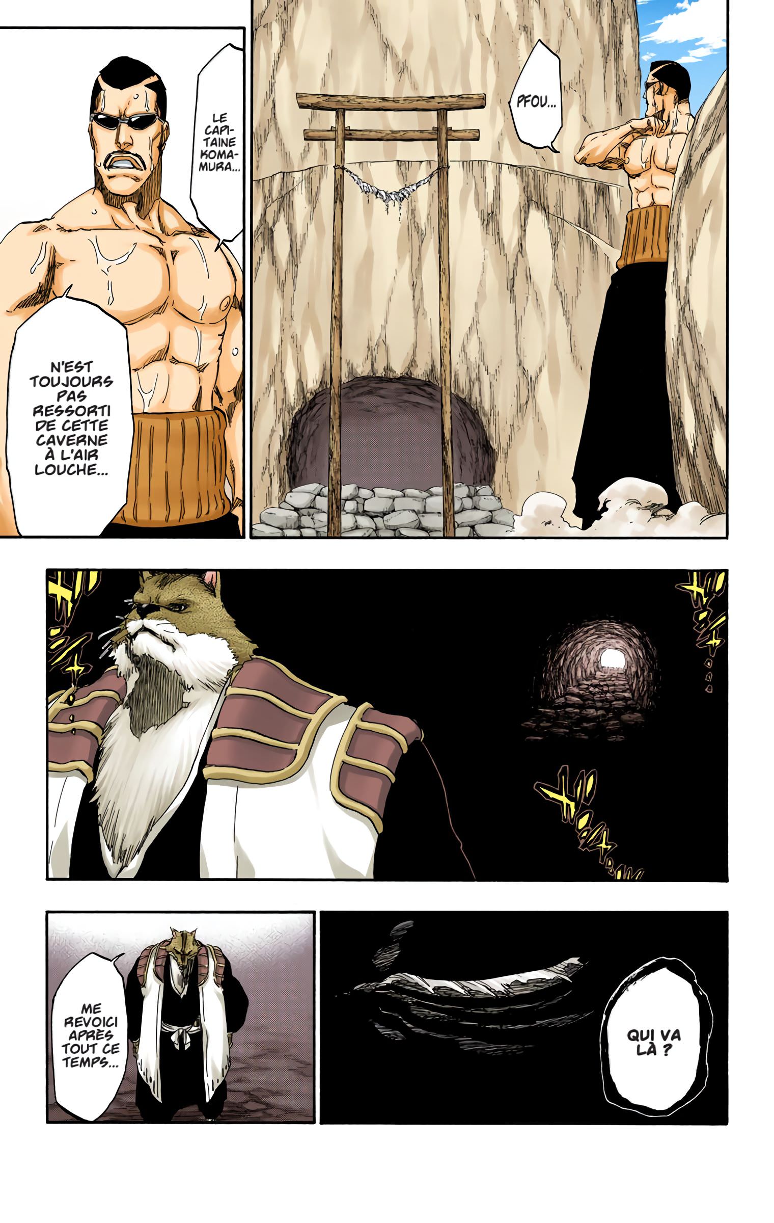 Read Bleach FR Manga Online