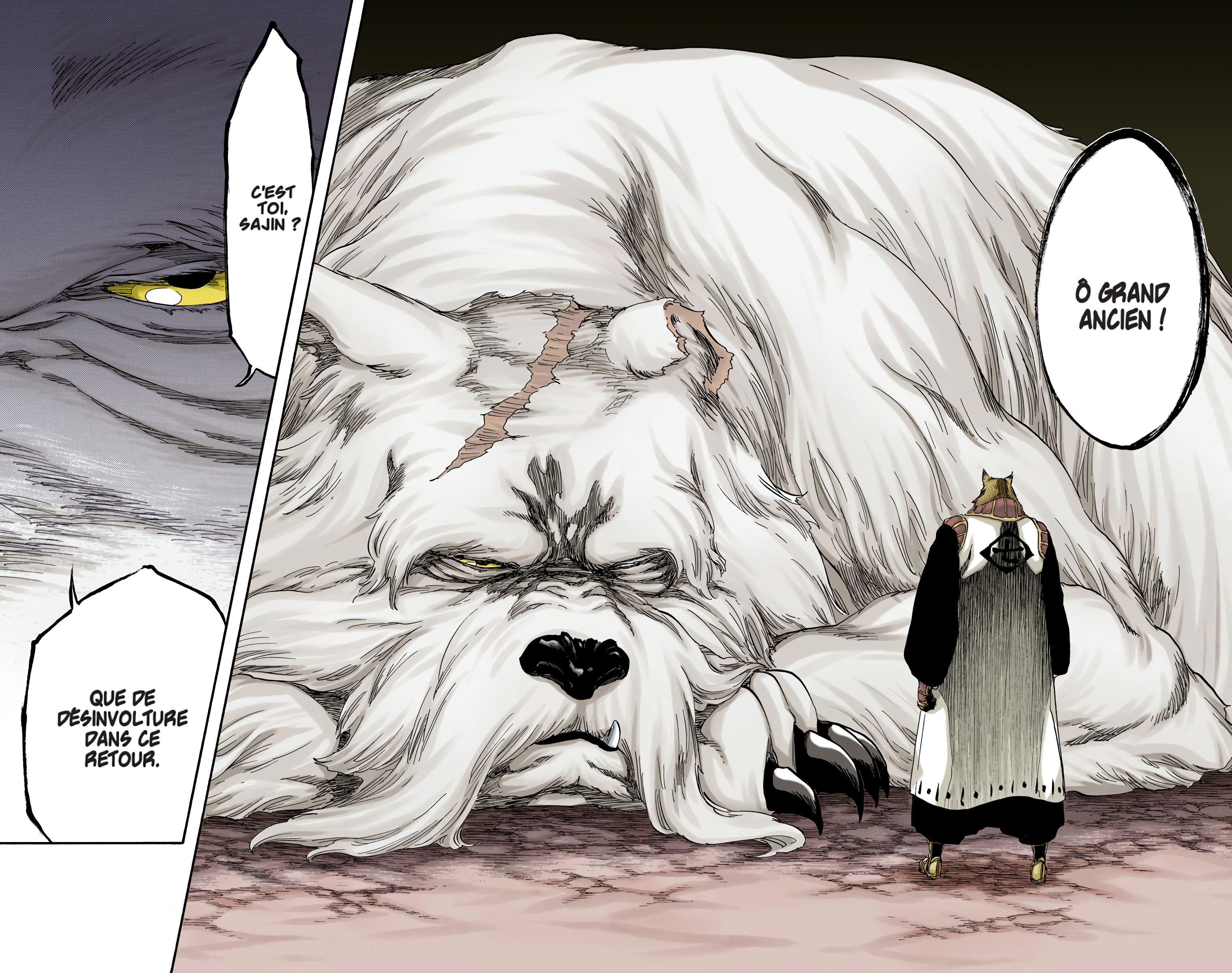 Read Bleach FR Manga Online