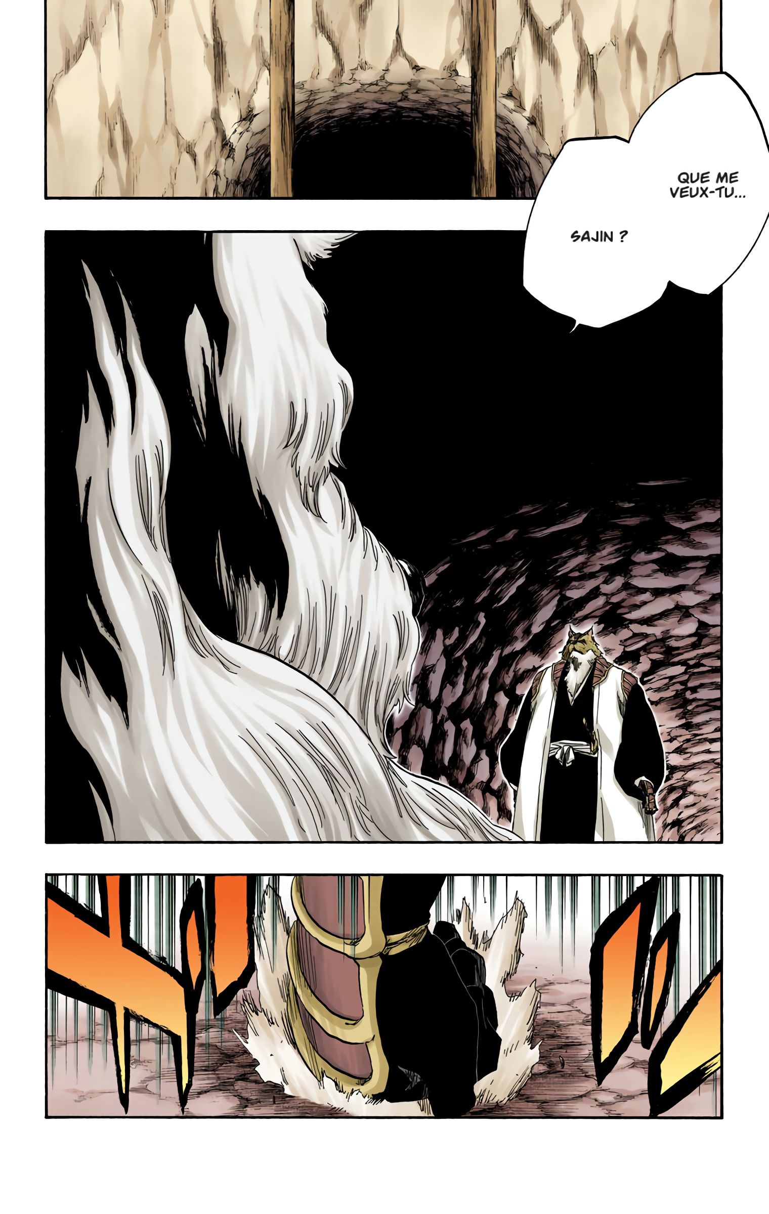 Read Bleach FR Manga Online