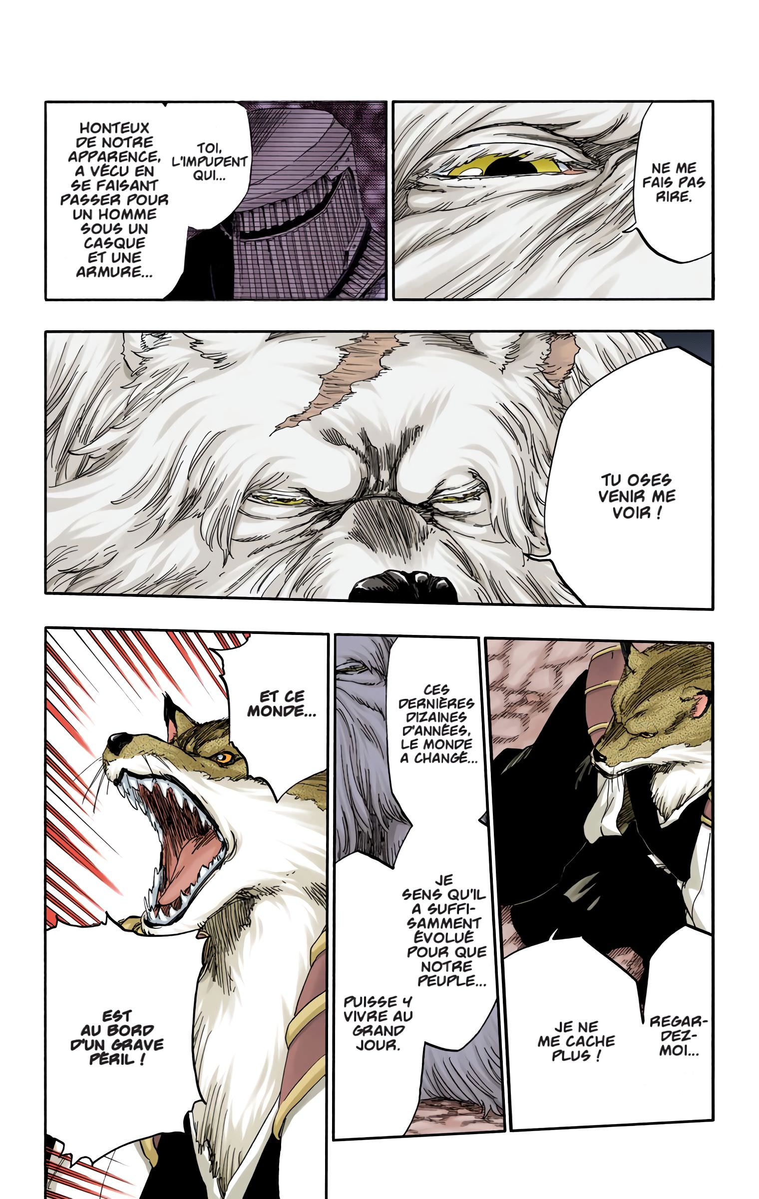Read Bleach FR Manga Online