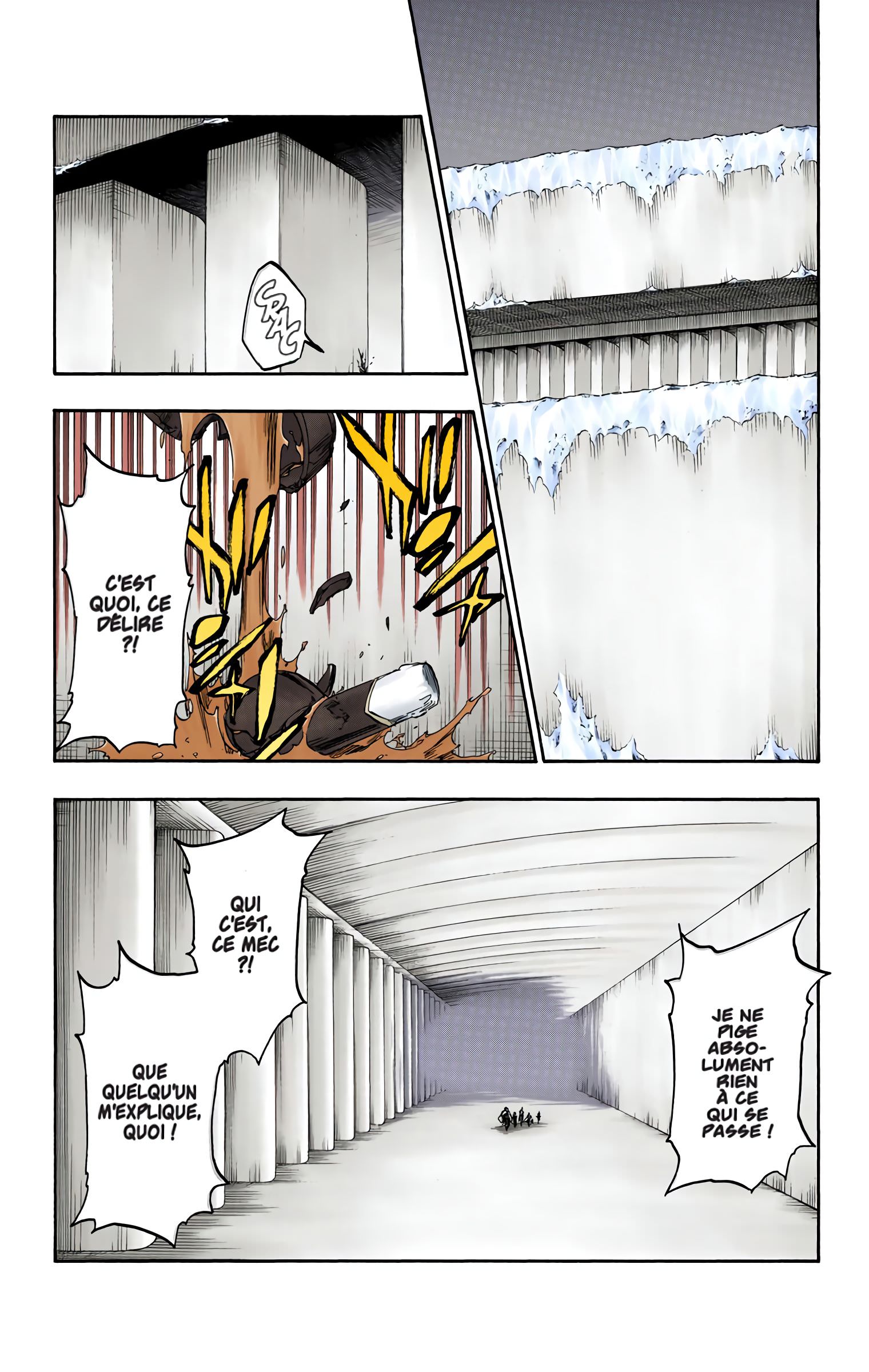 Read Bleach FR Manga Online