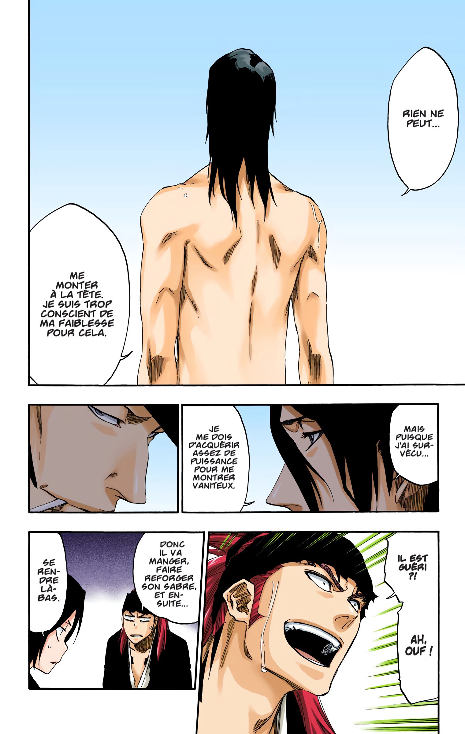 Read Bleach FR Manga Online
