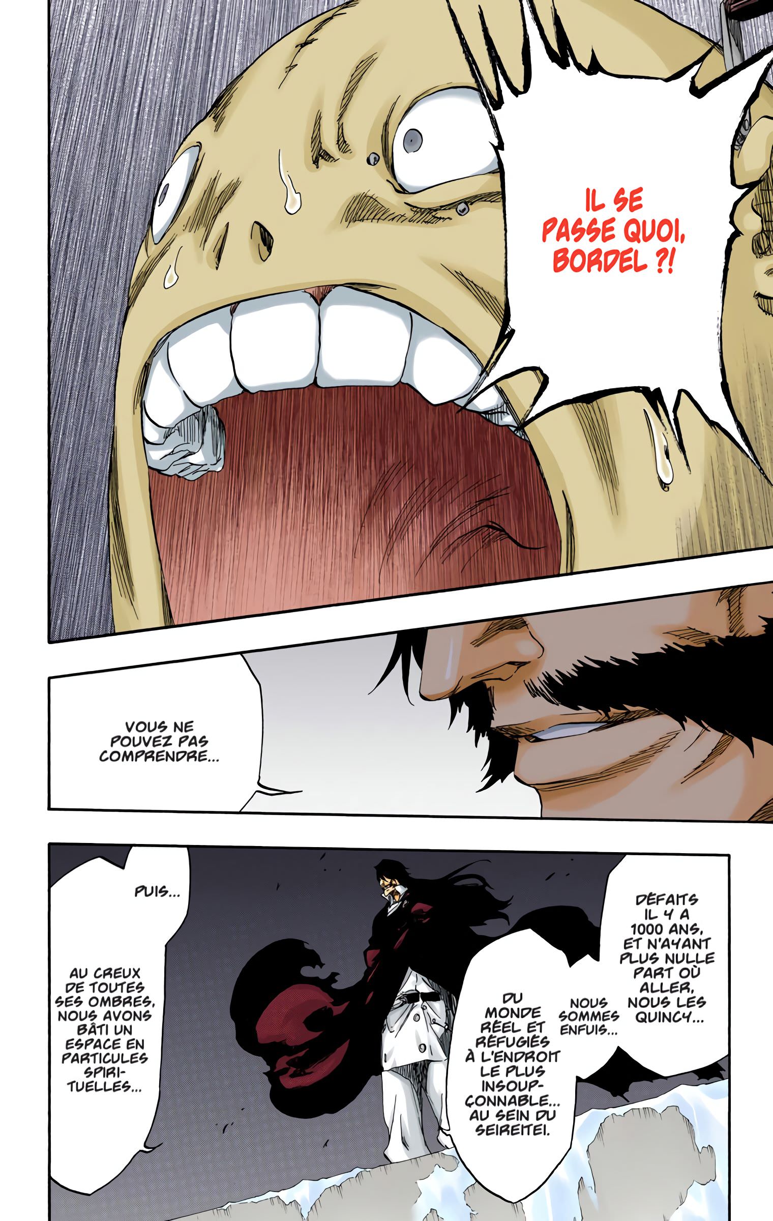 Read Bleach FR Manga Online
