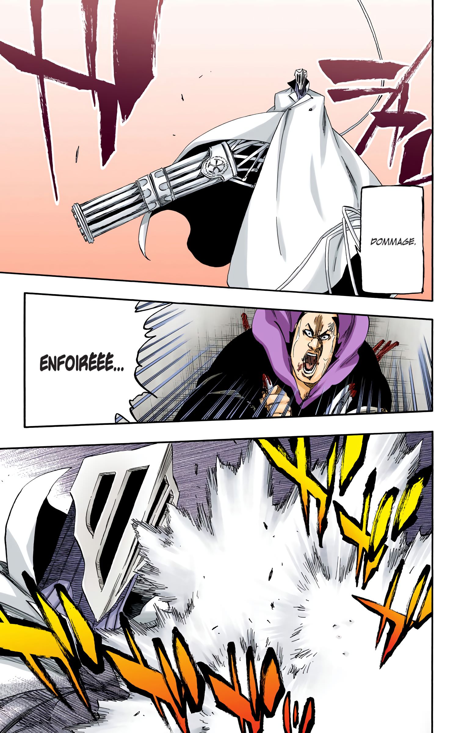 Read Bleach FR Manga Online
