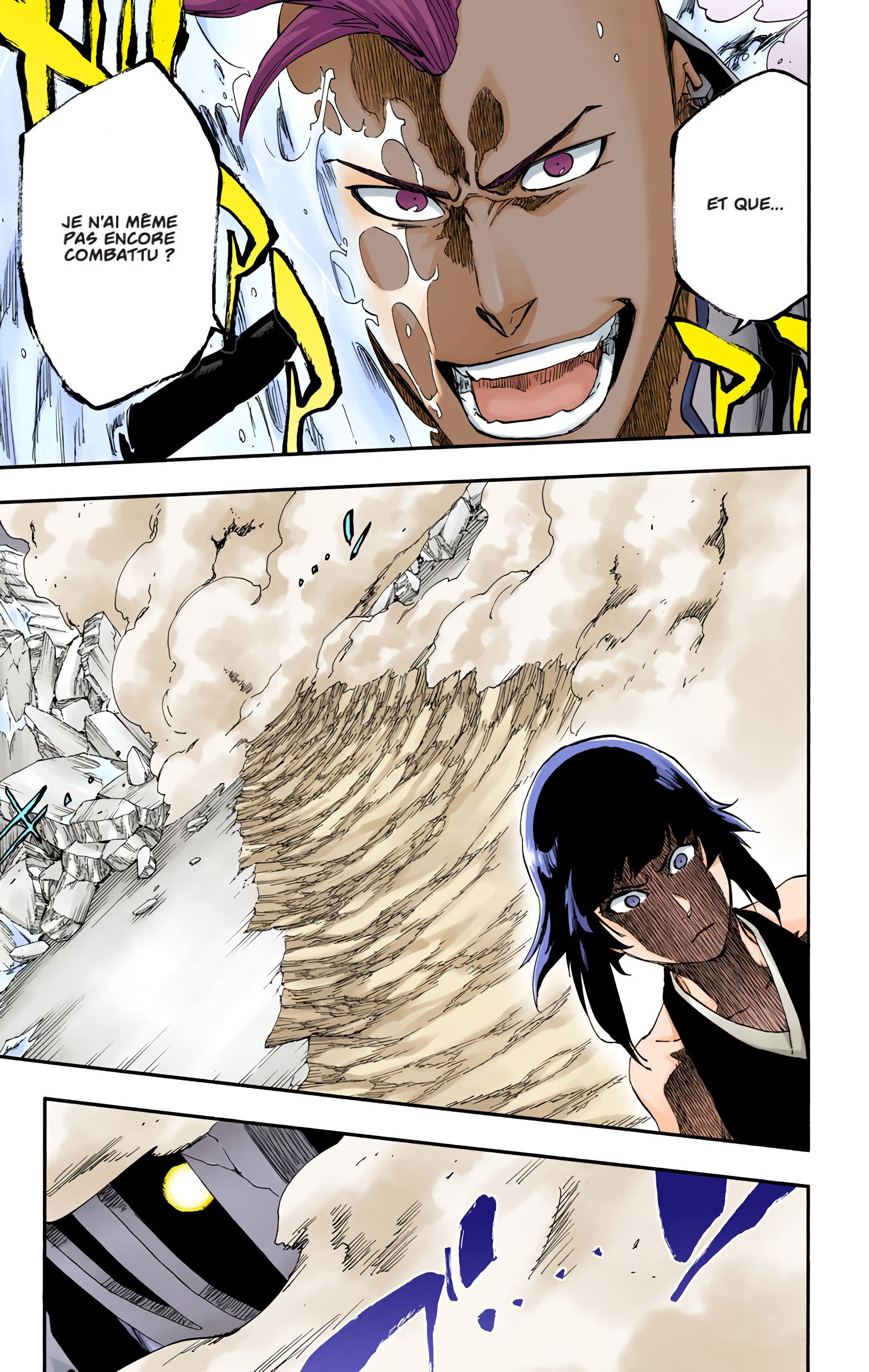 Read Bleach FR Manga Online