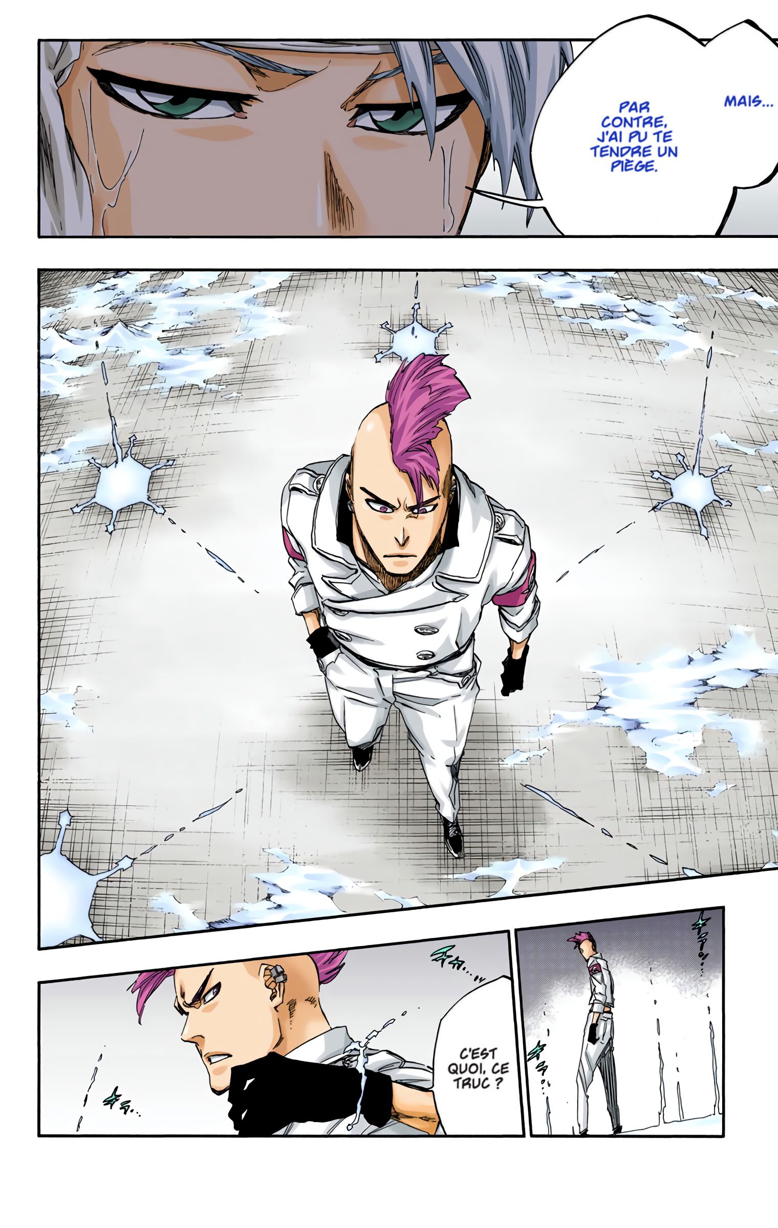 Read Bleach FR Manga Online