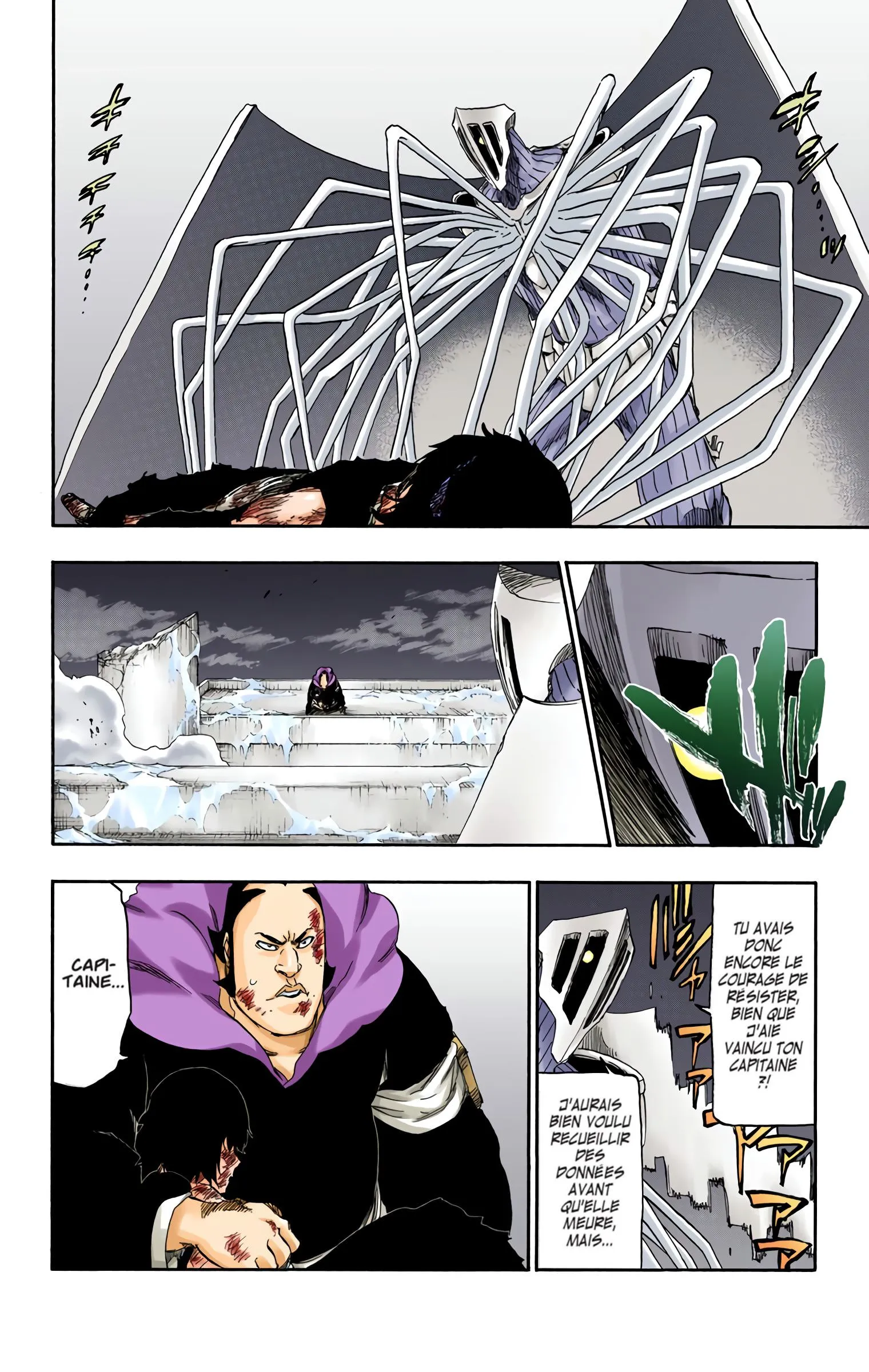 Read Bleach FR Manga Online