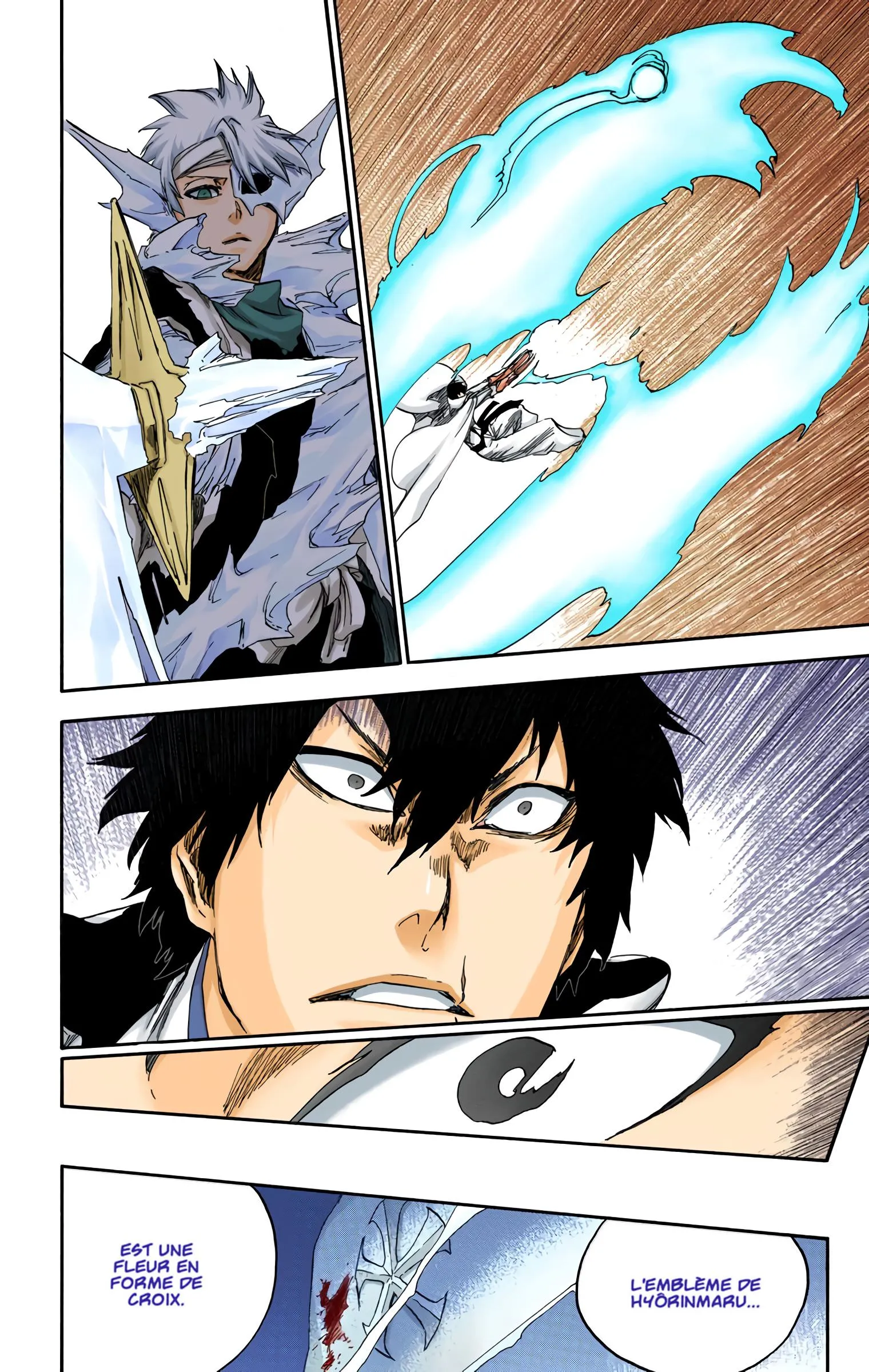 Read Bleach FR Manga Online