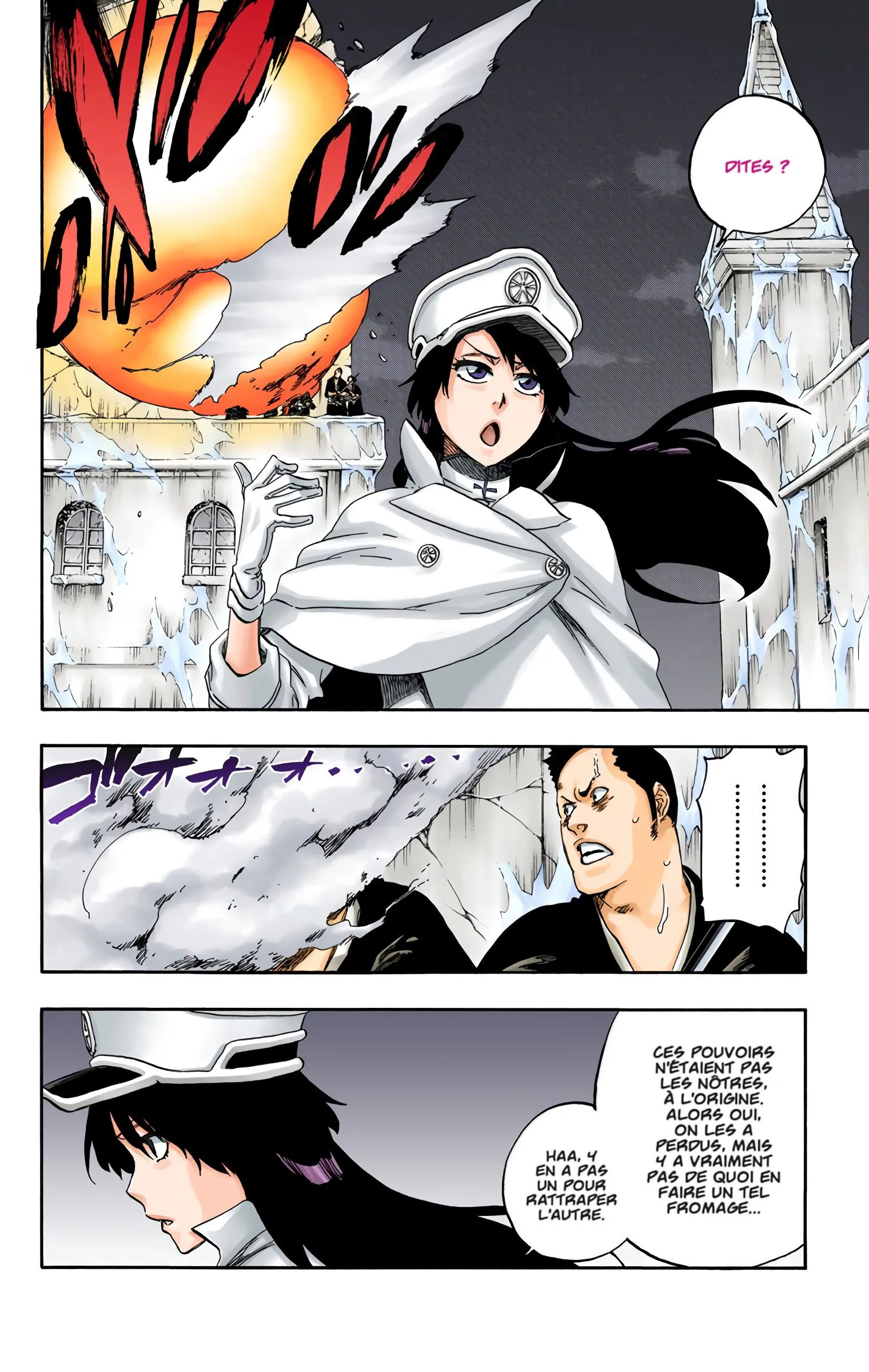 Read Bleach FR Manga Online