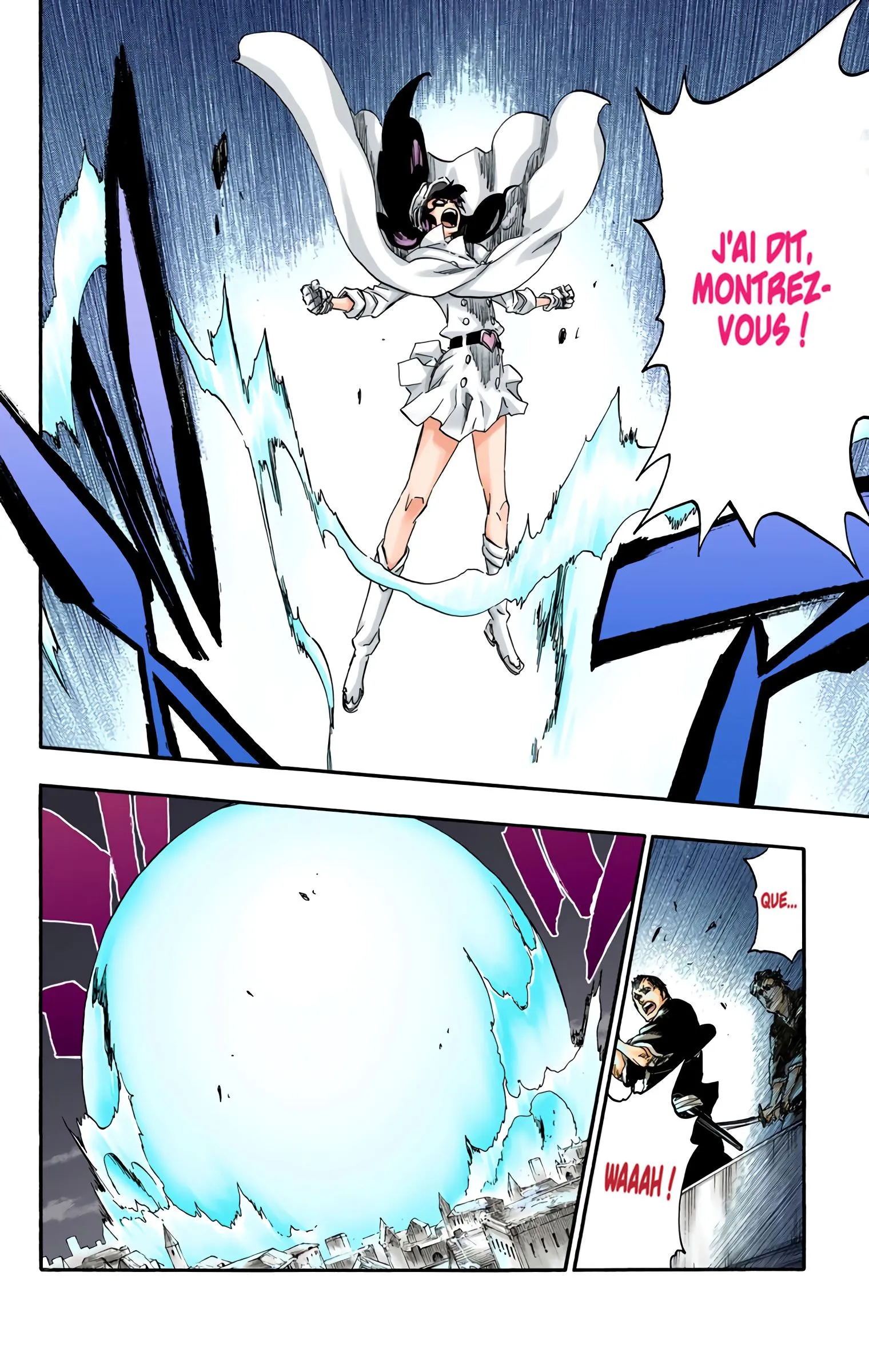 Read Bleach FR Manga Online