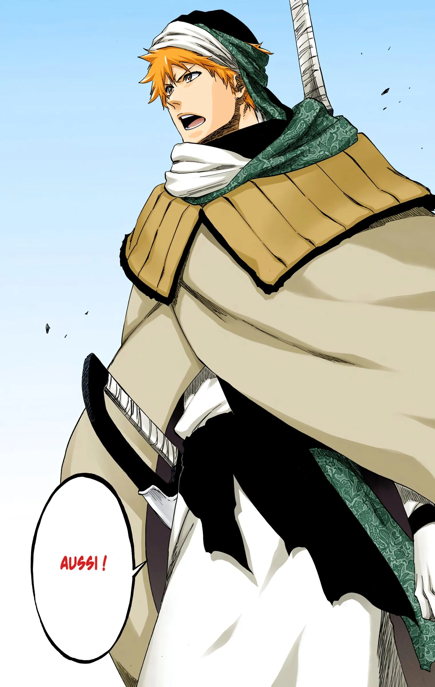 Read Bleach FR Manga Online