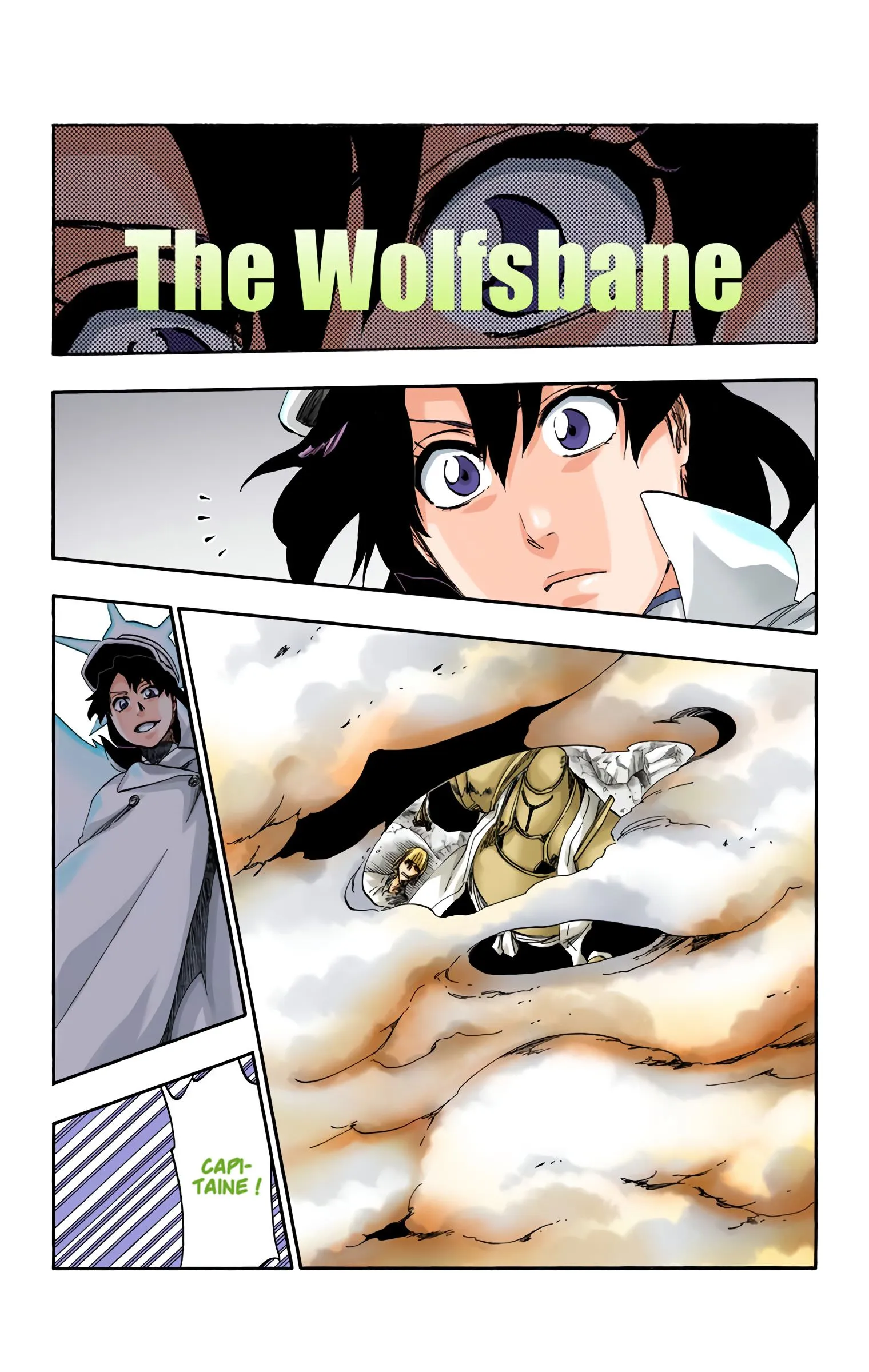 Read Bleach FR Manga Online