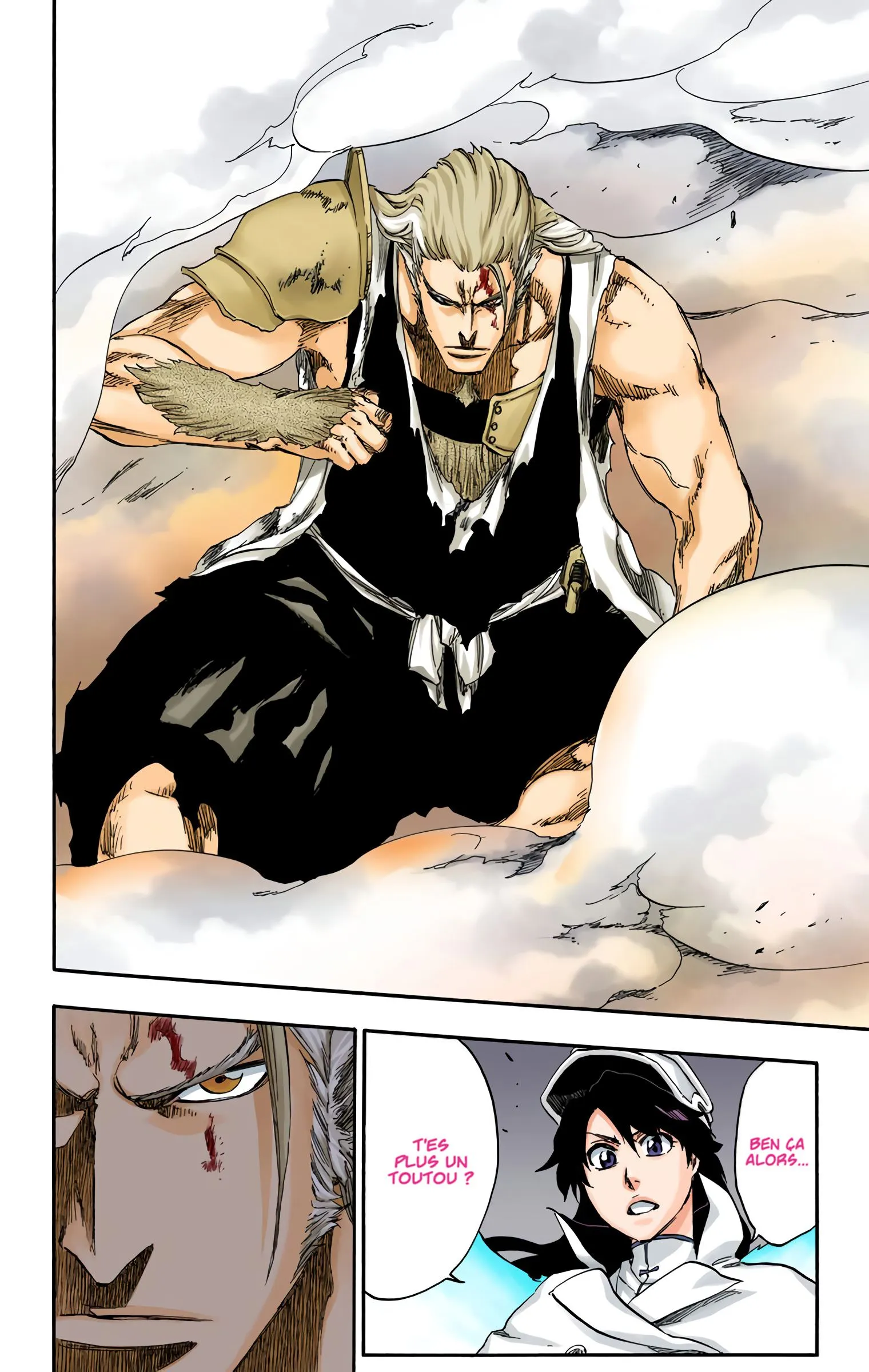 Read Bleach FR Manga Online