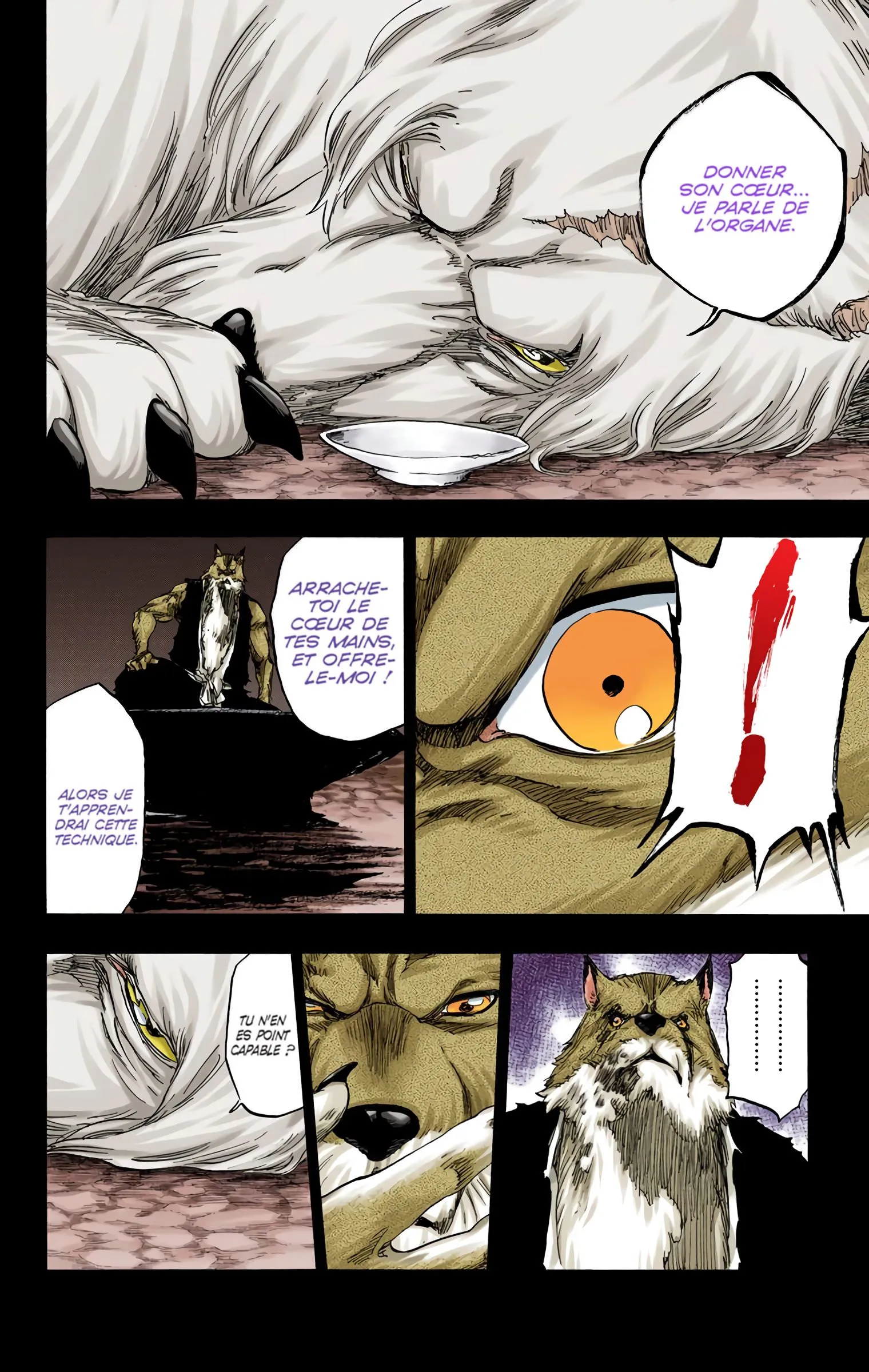 Read Bleach FR Manga Online