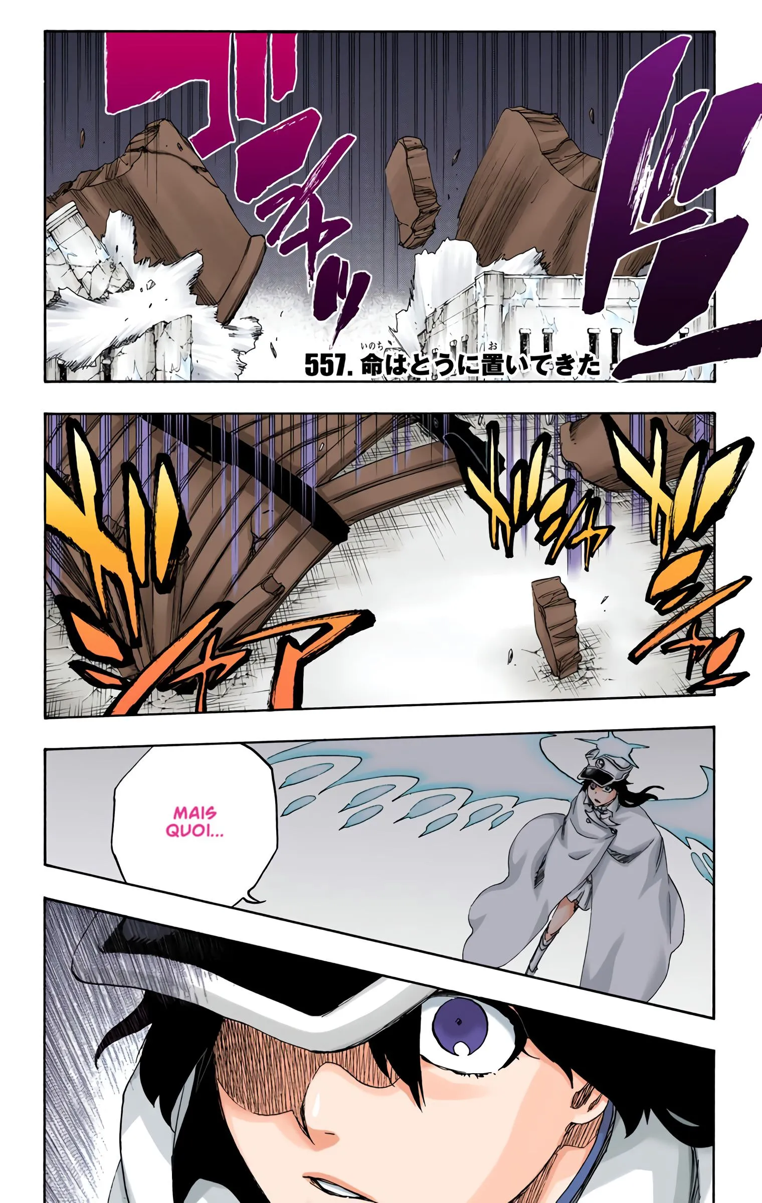 Read Bleach FR Manga Online