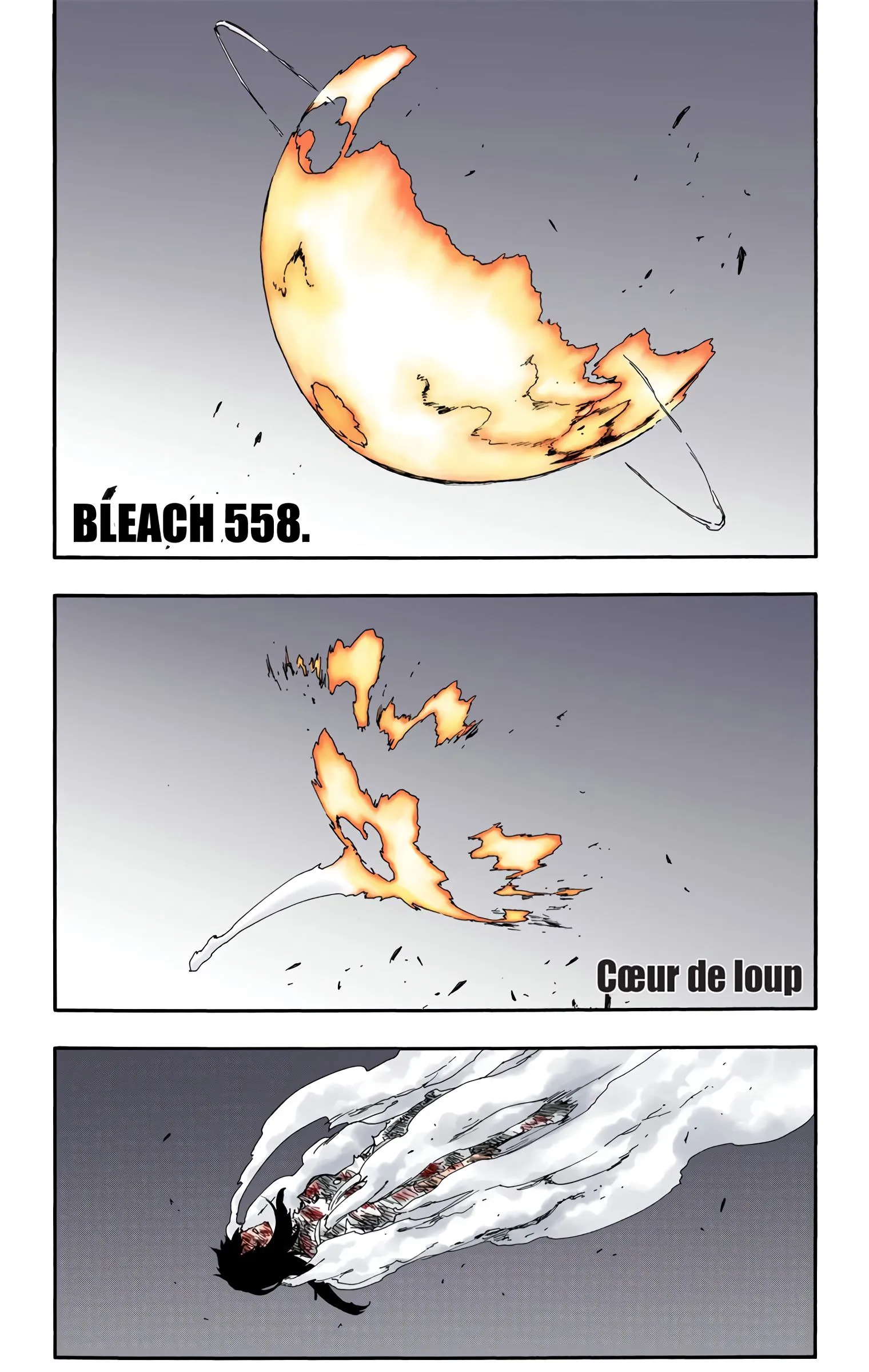 Read Bleach FR Manga Online