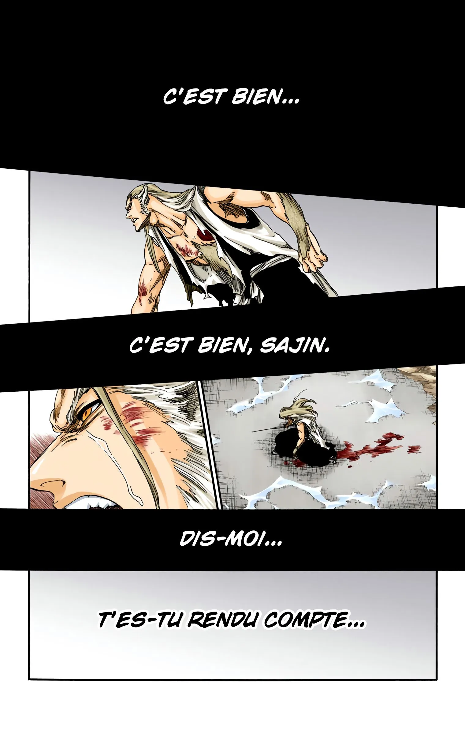 Read Bleach FR Manga Online