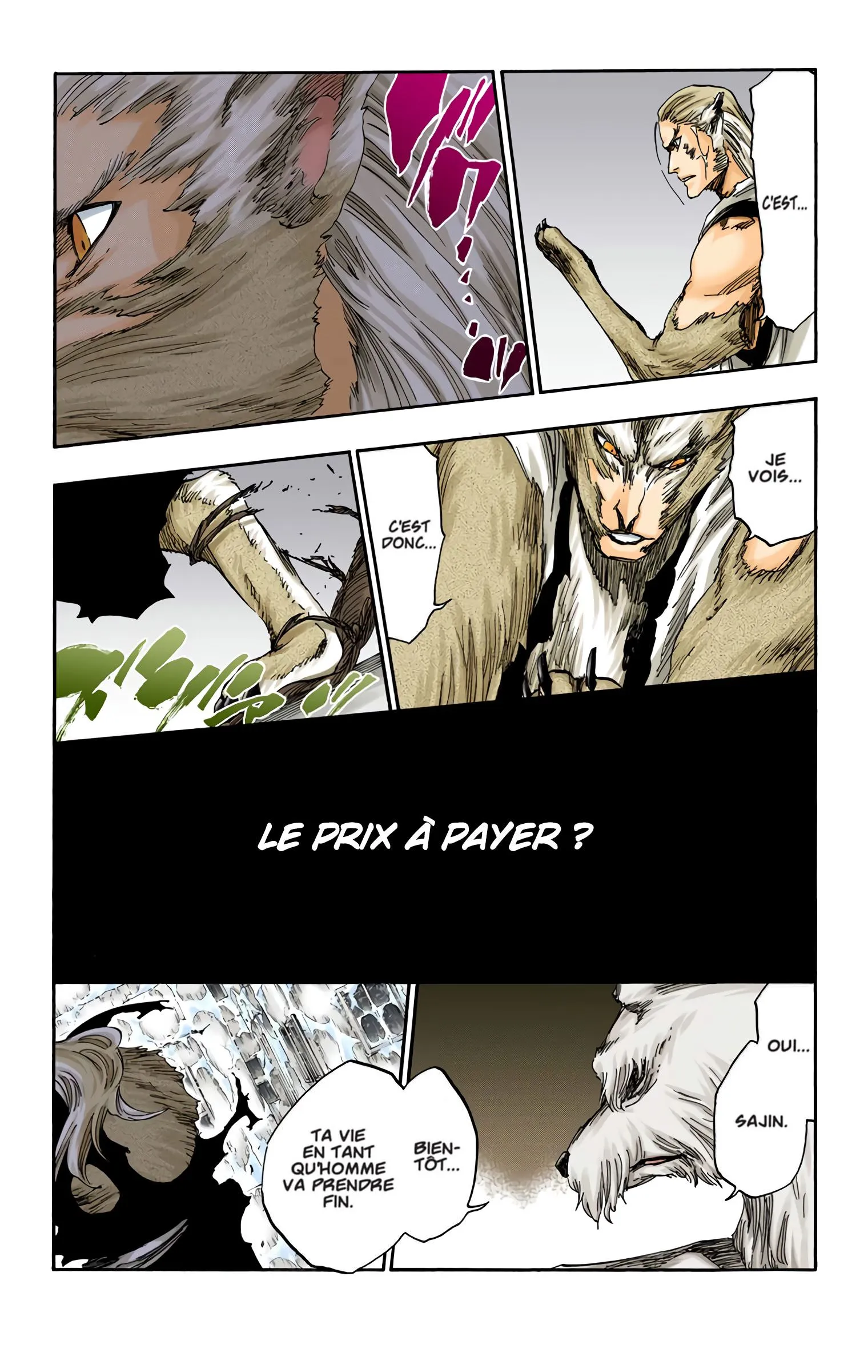 Read Bleach FR Manga Online