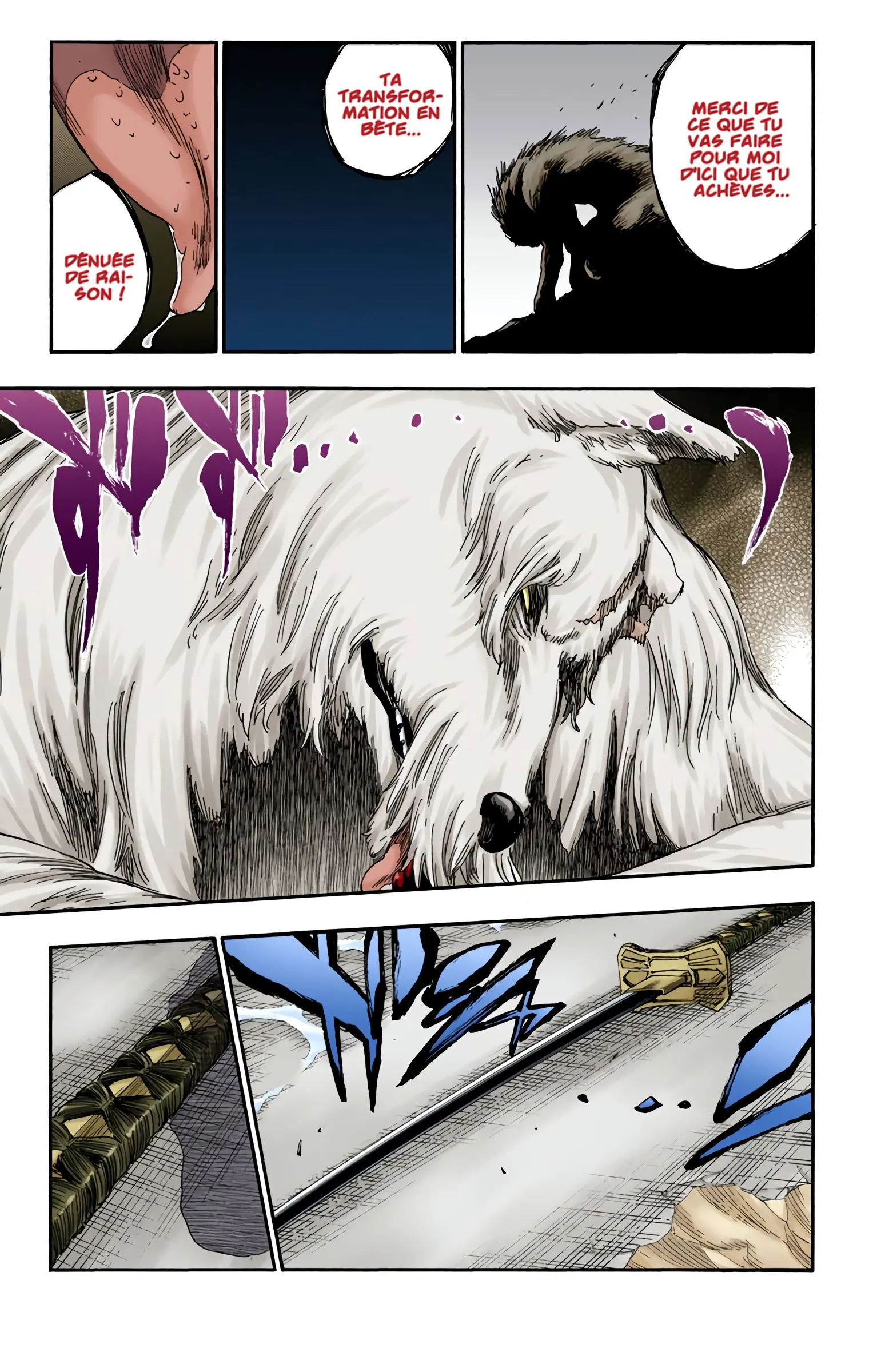 Read Bleach FR Manga Online