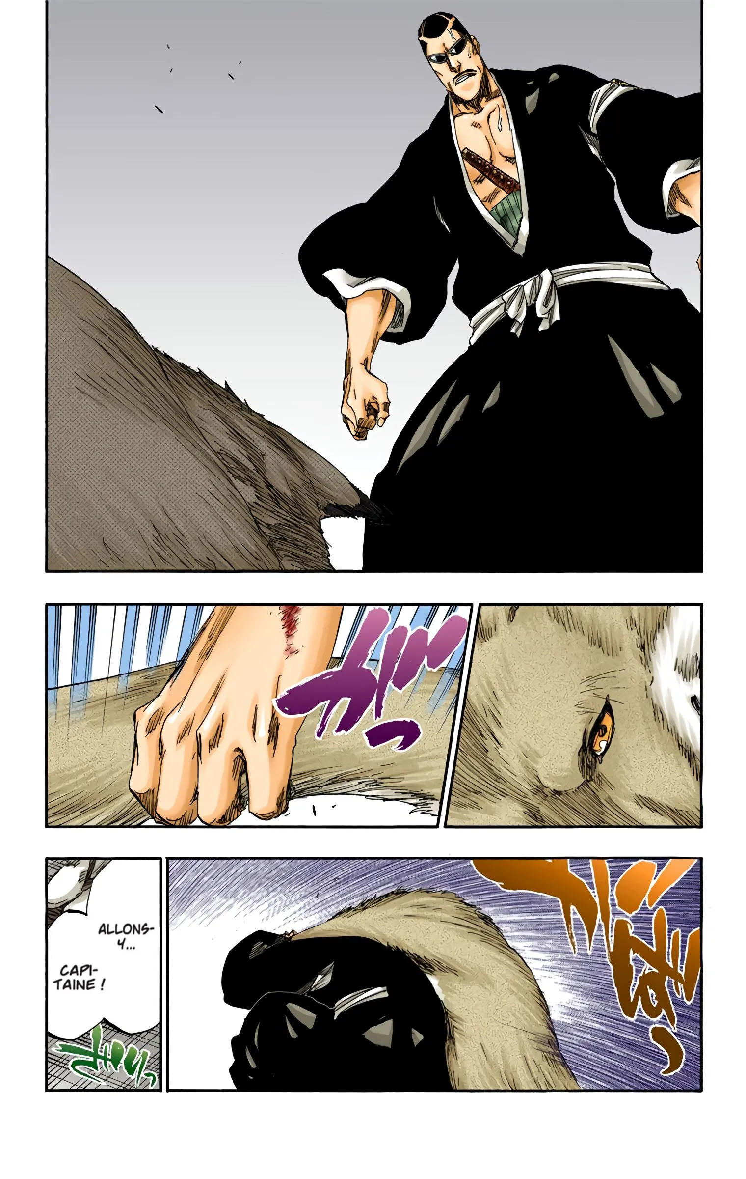 Read Bleach FR Manga Online