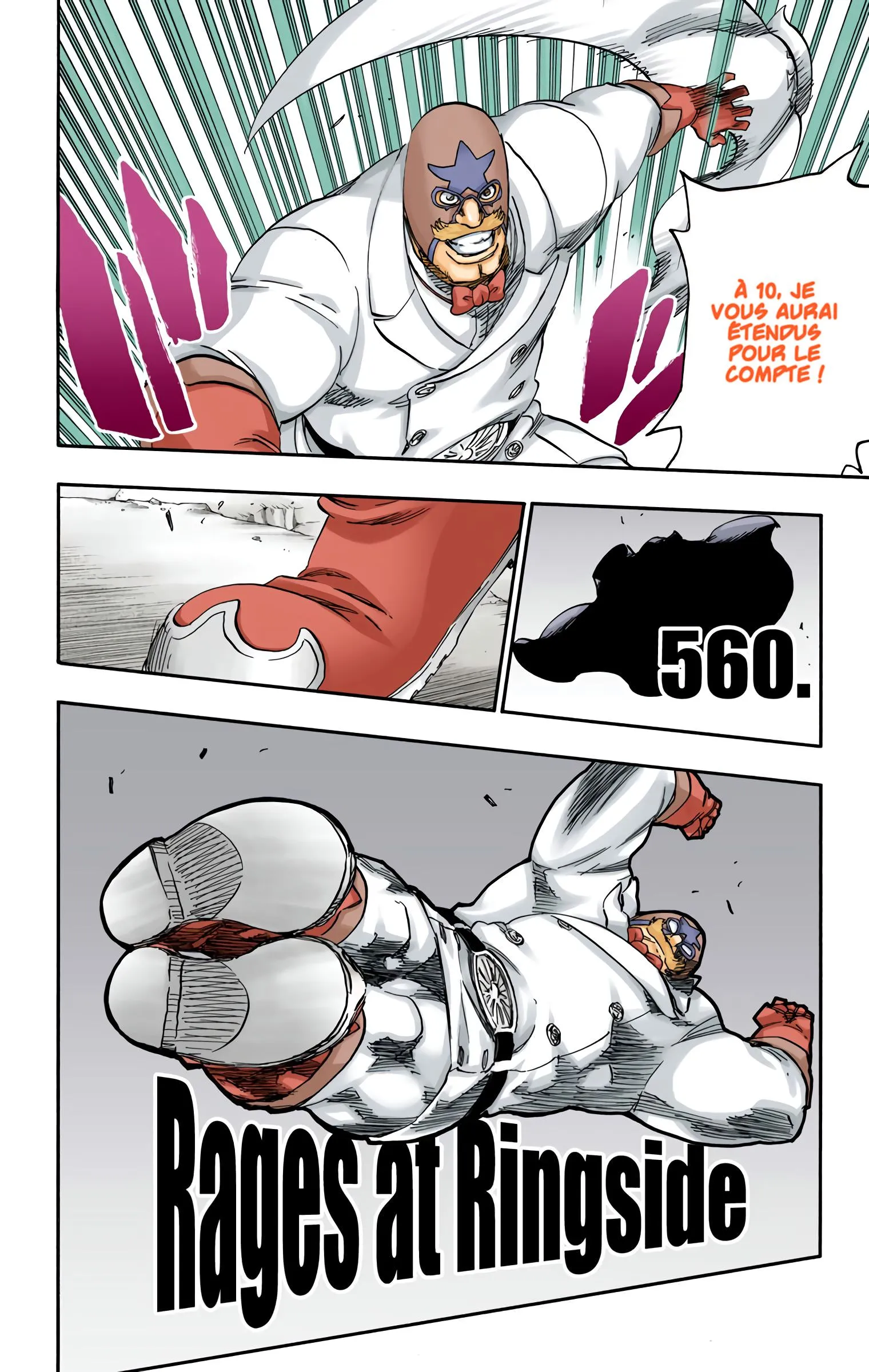 Read Bleach FR Manga Online
