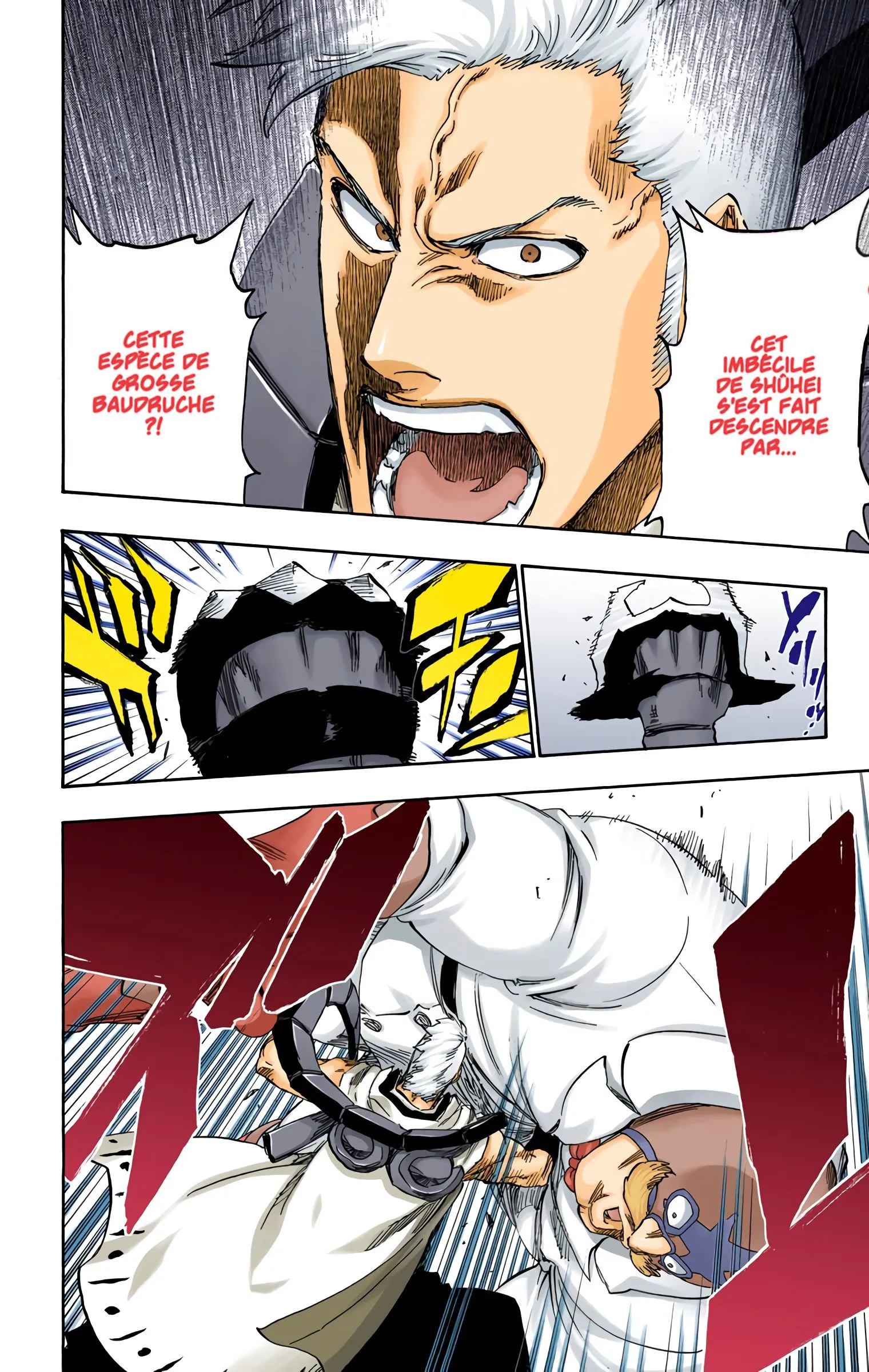 Read Bleach FR Manga Online