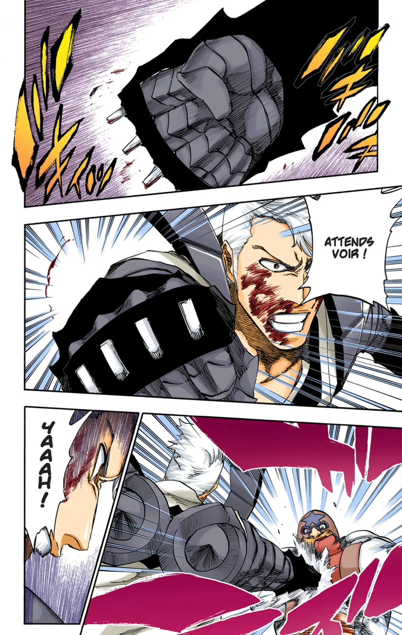 Read Bleach FR Manga Online