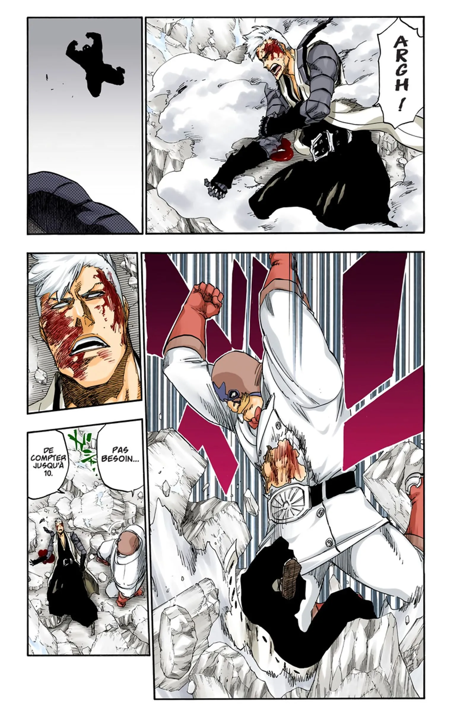 Read Bleach FR Manga Online