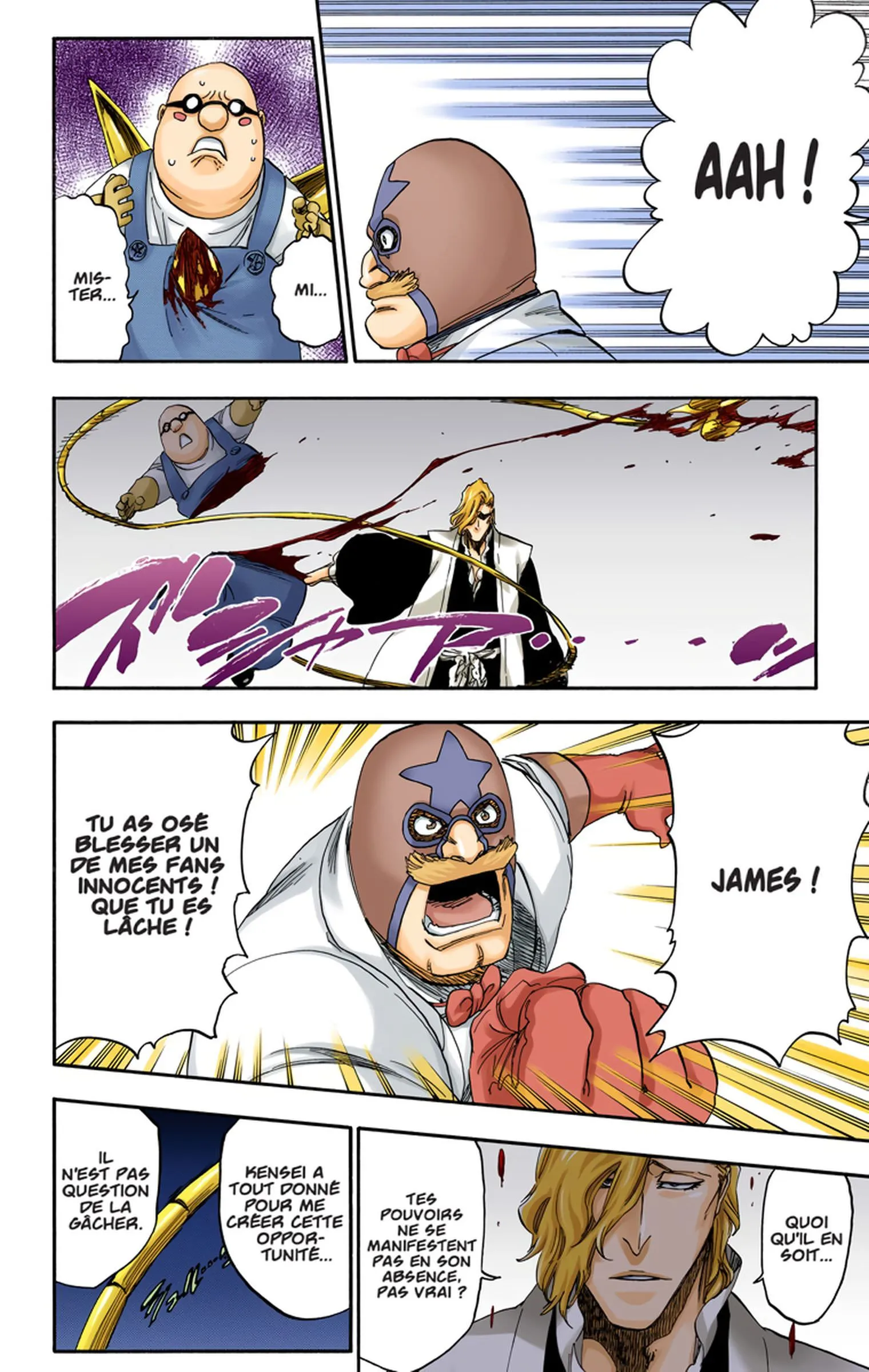 Read Bleach FR Manga Online