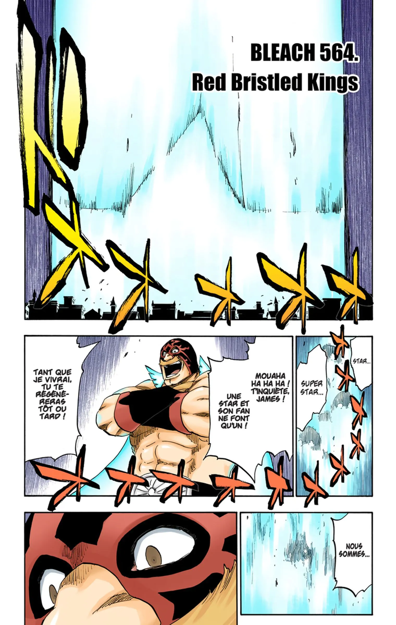 Read Bleach FR Manga Online