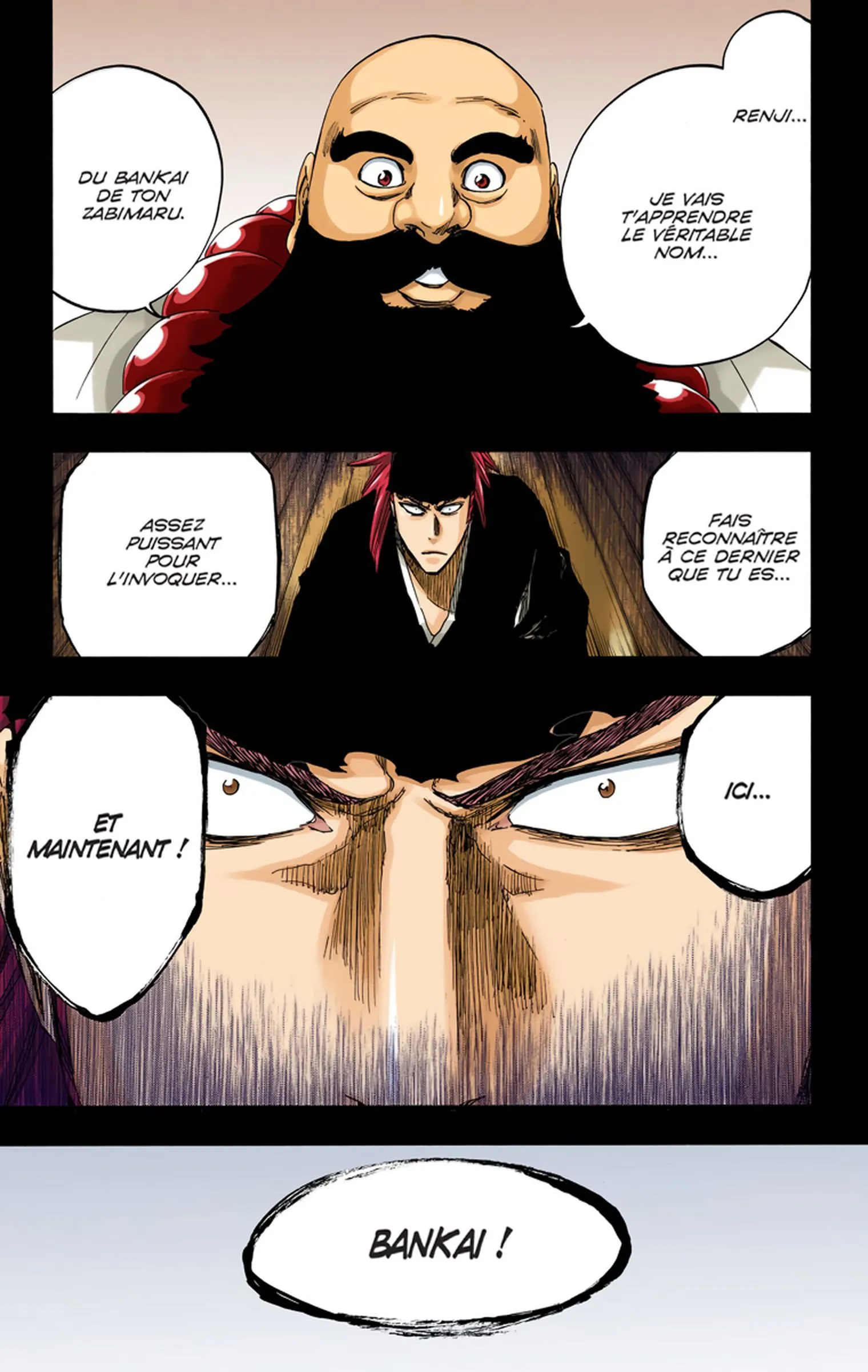 Read Bleach FR Manga Online