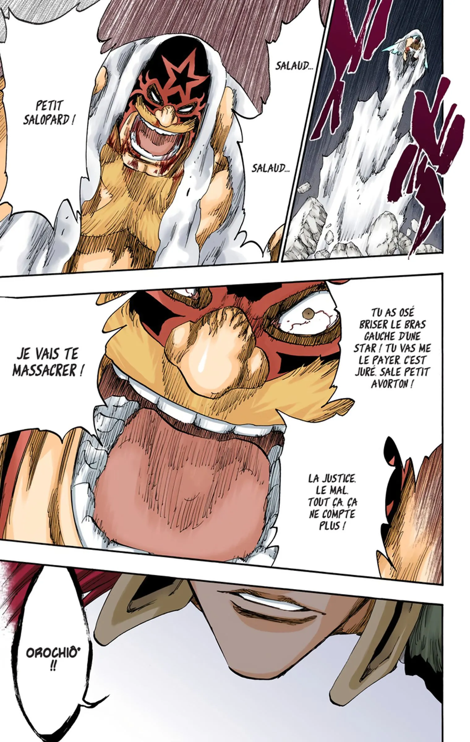 Read Bleach FR Manga Online