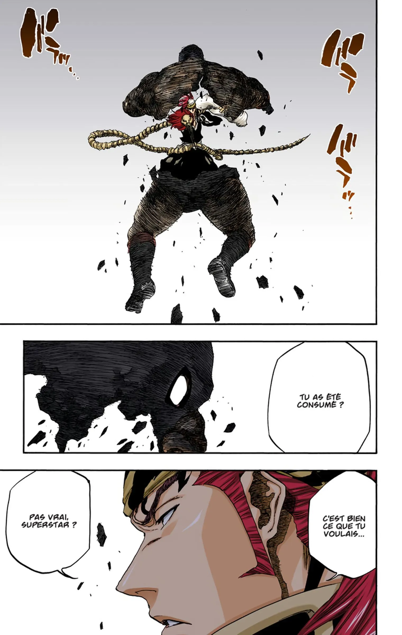 Read Bleach FR Manga Online