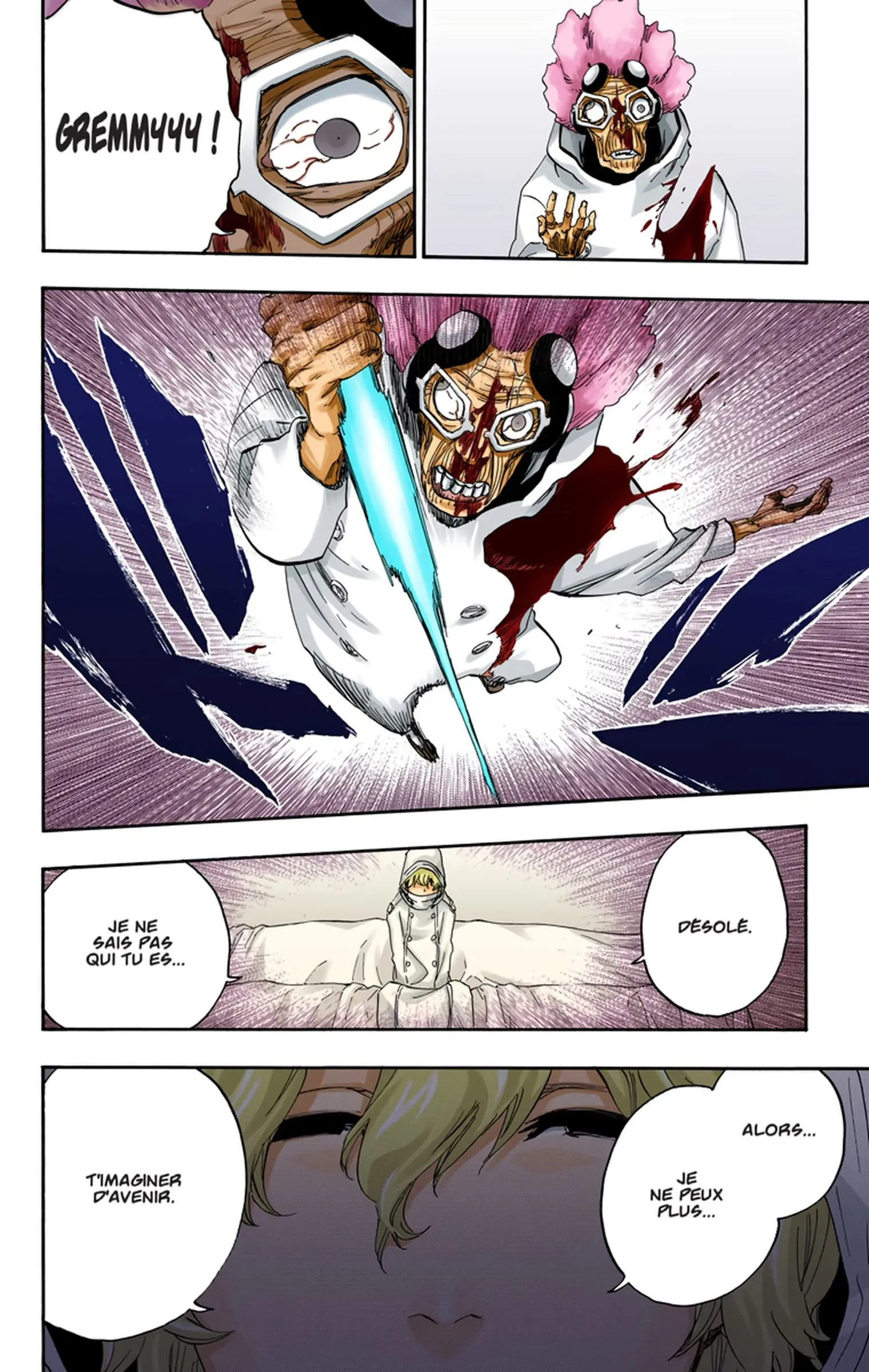 Read Bleach FR Manga Online