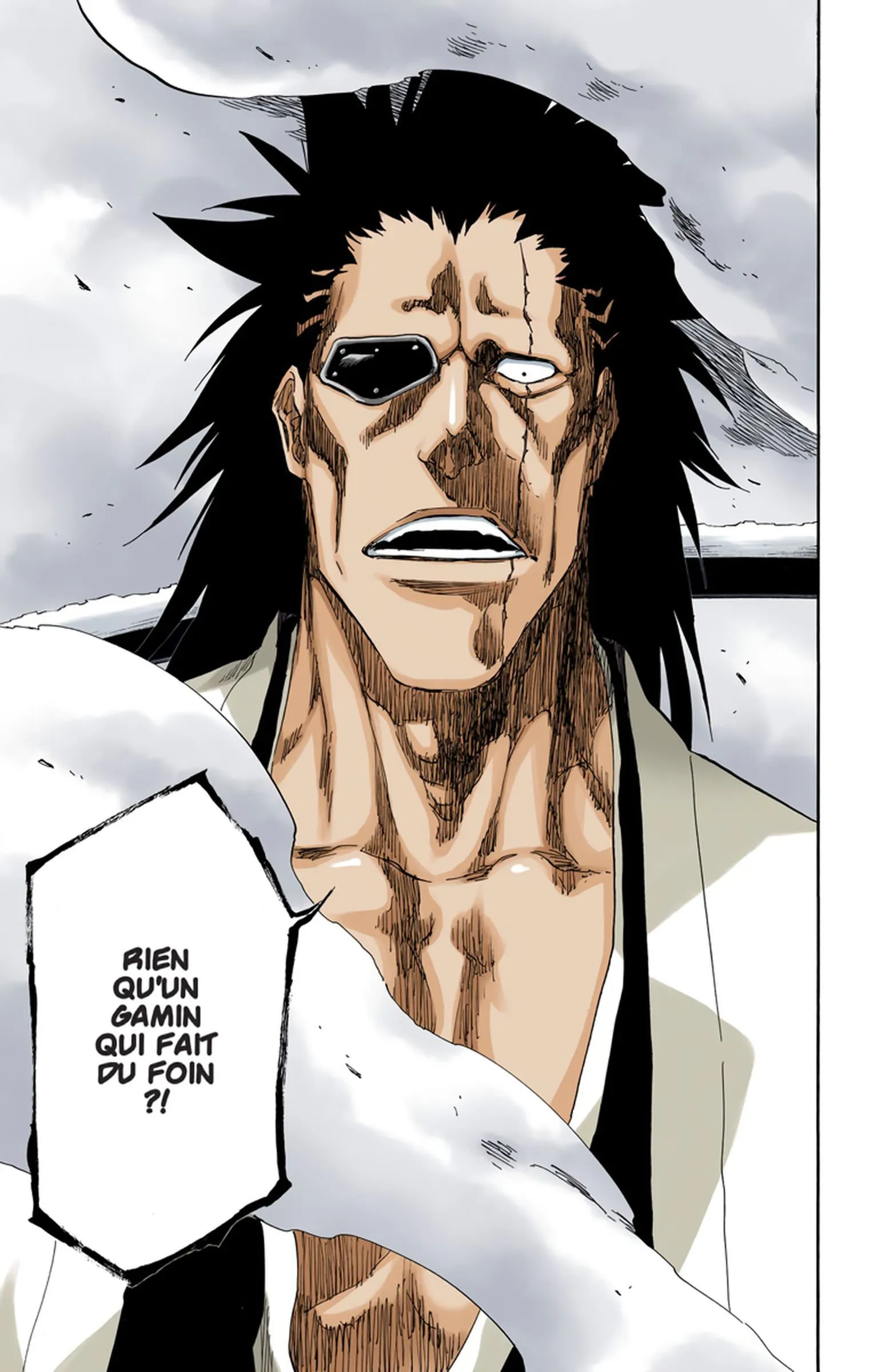 Read Bleach FR Manga Online