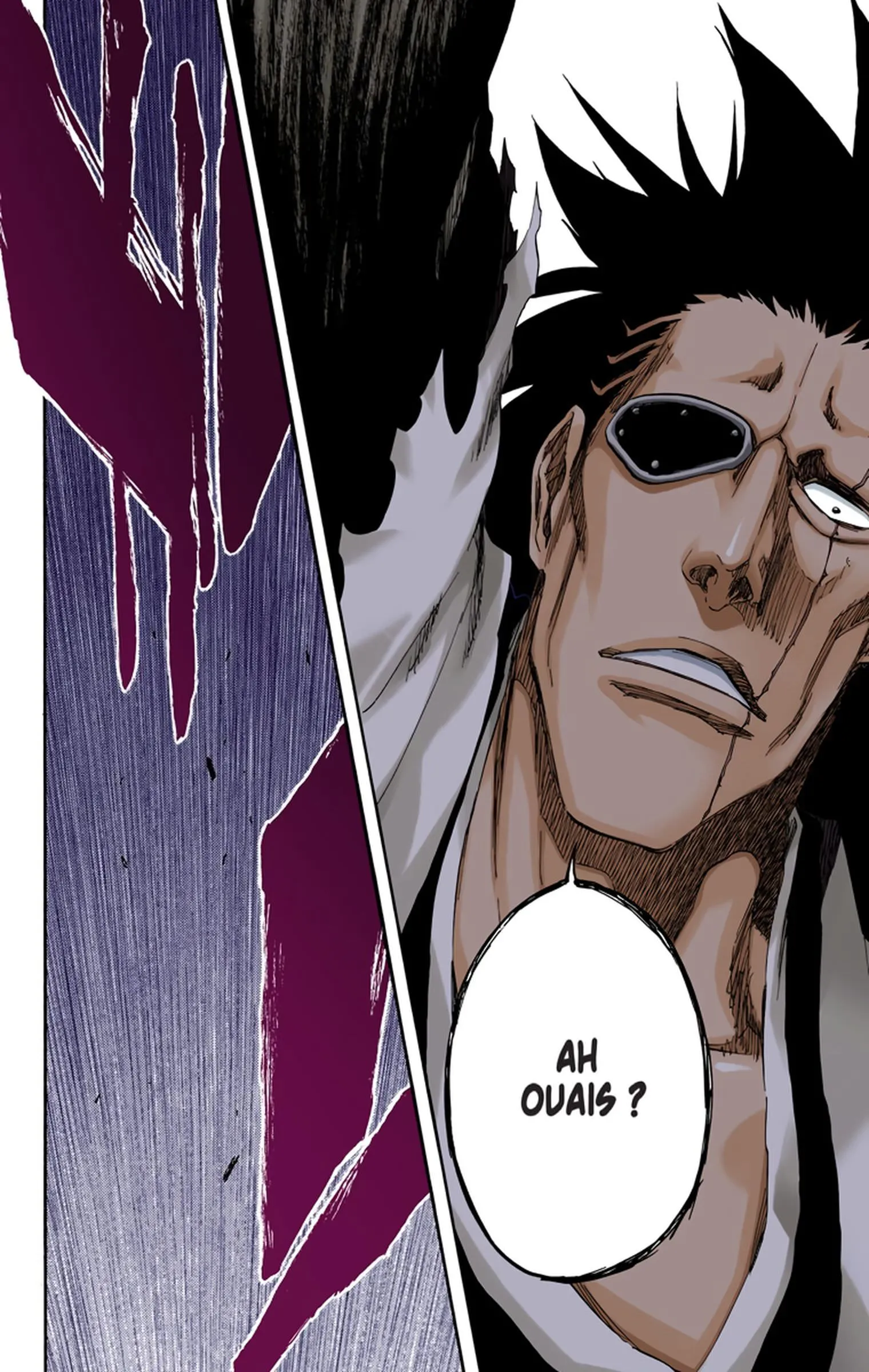 Read Bleach FR Manga Online