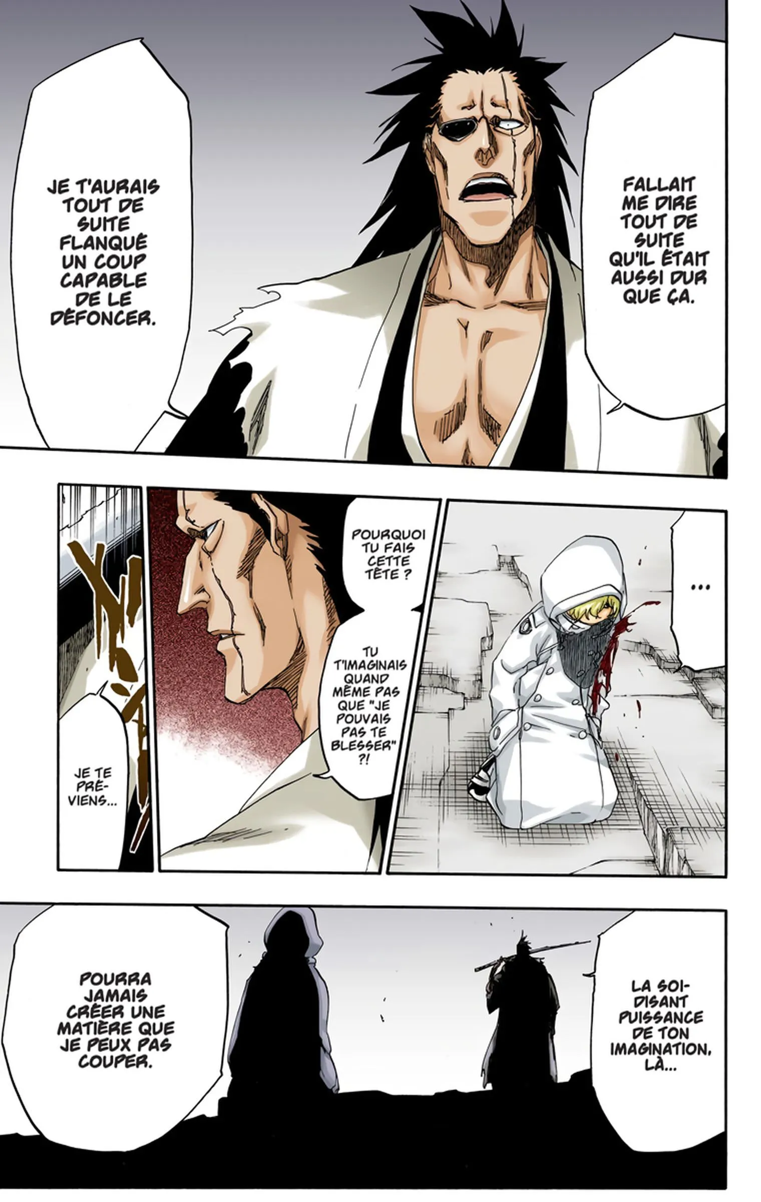 Read Bleach FR Manga Online