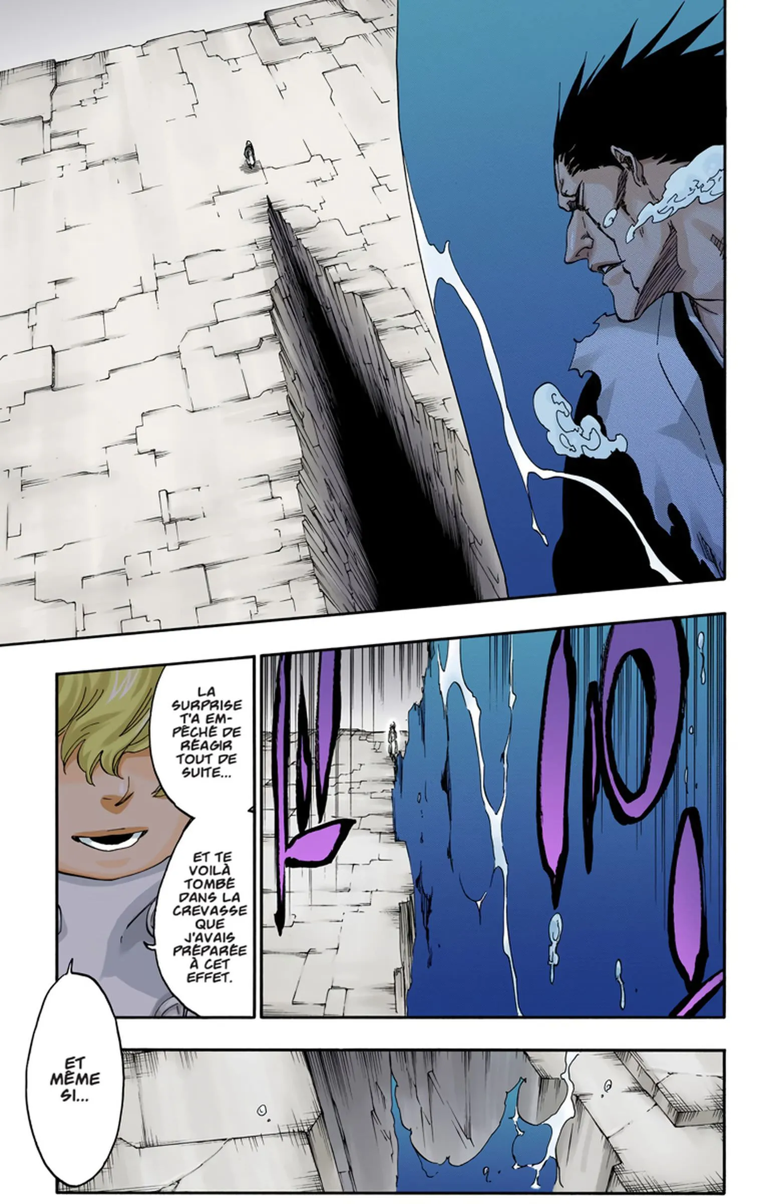Read Bleach FR Manga Online