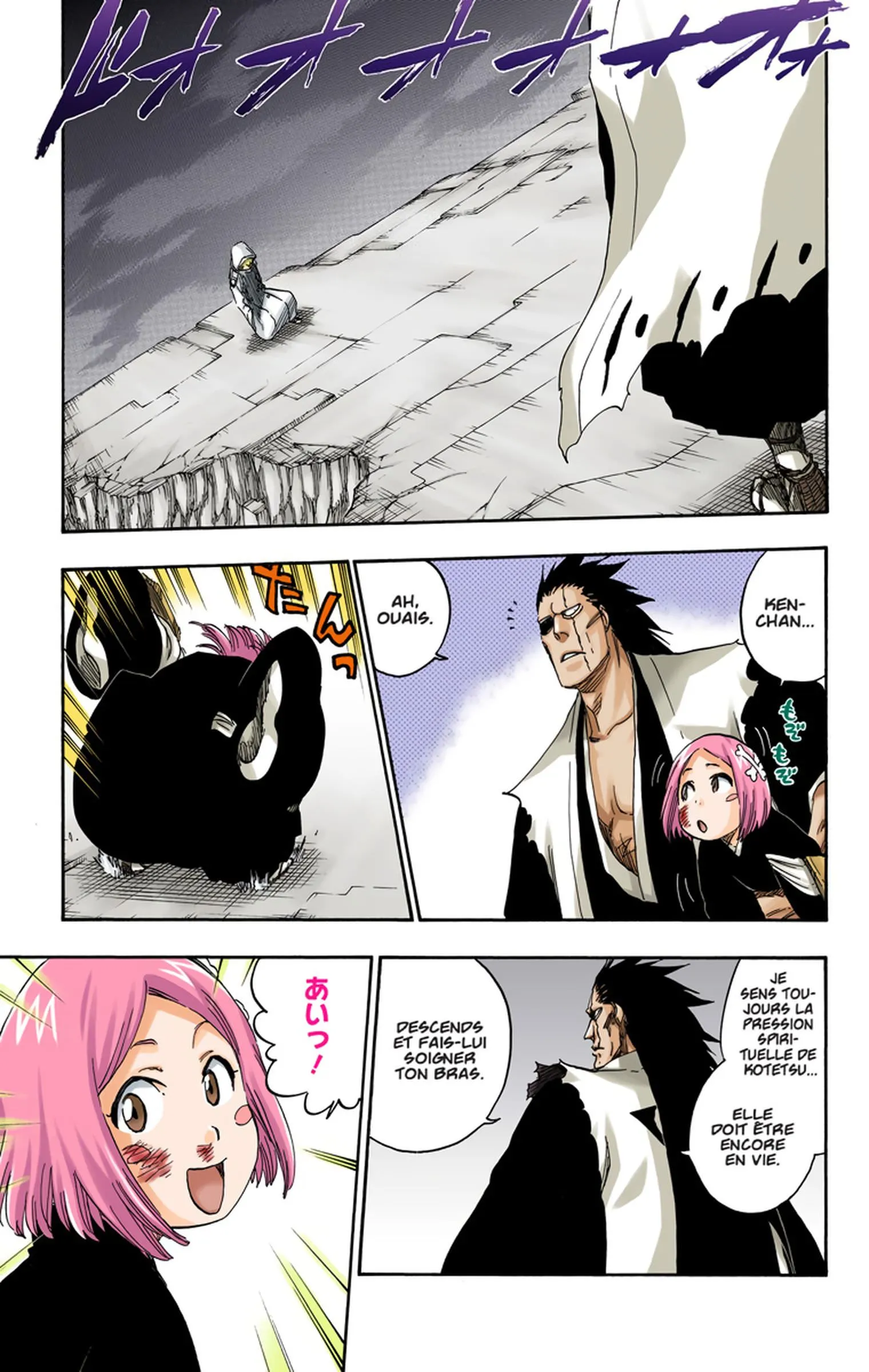 Read Bleach FR Manga Online