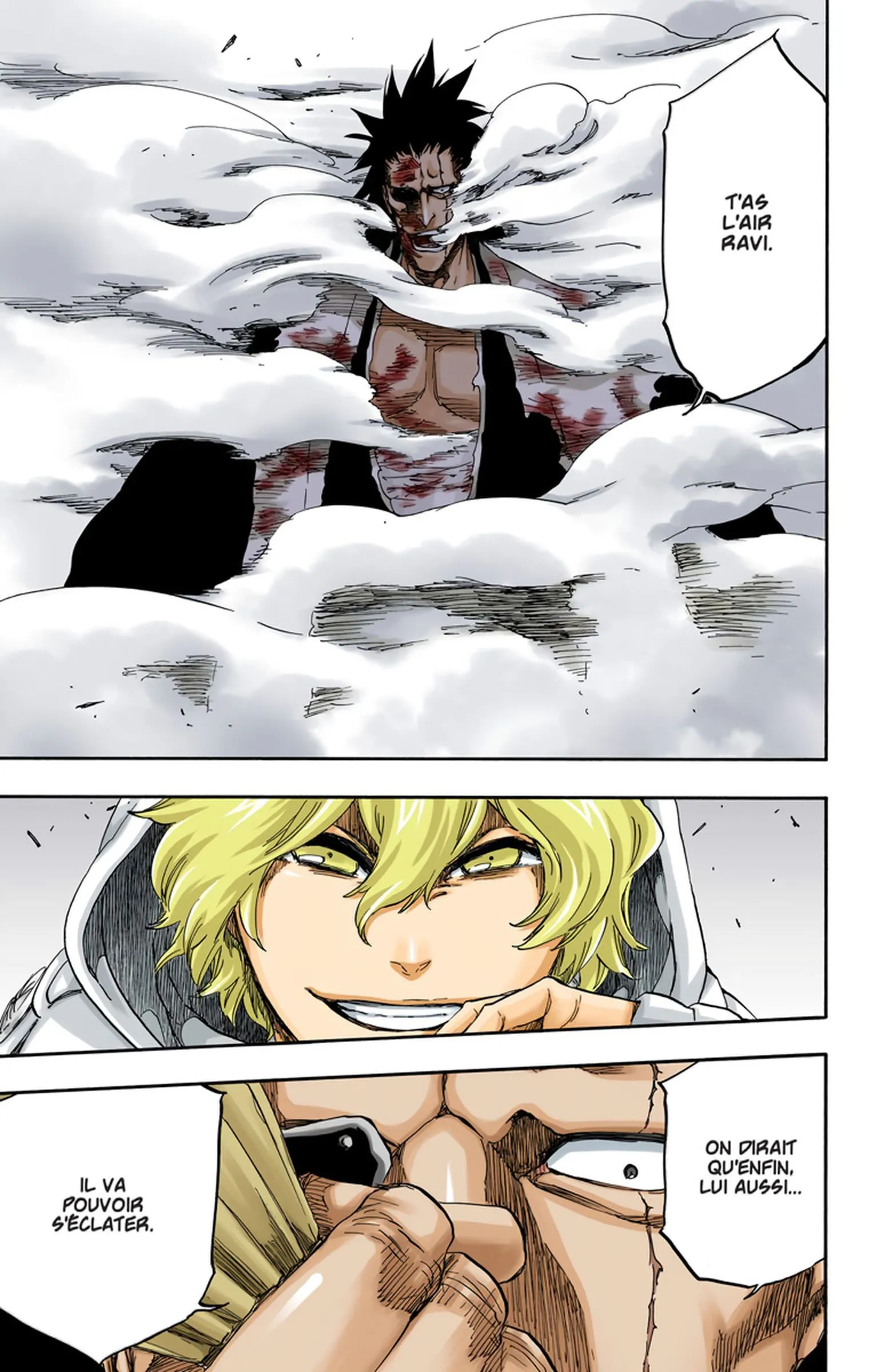 Read Bleach FR Manga Online