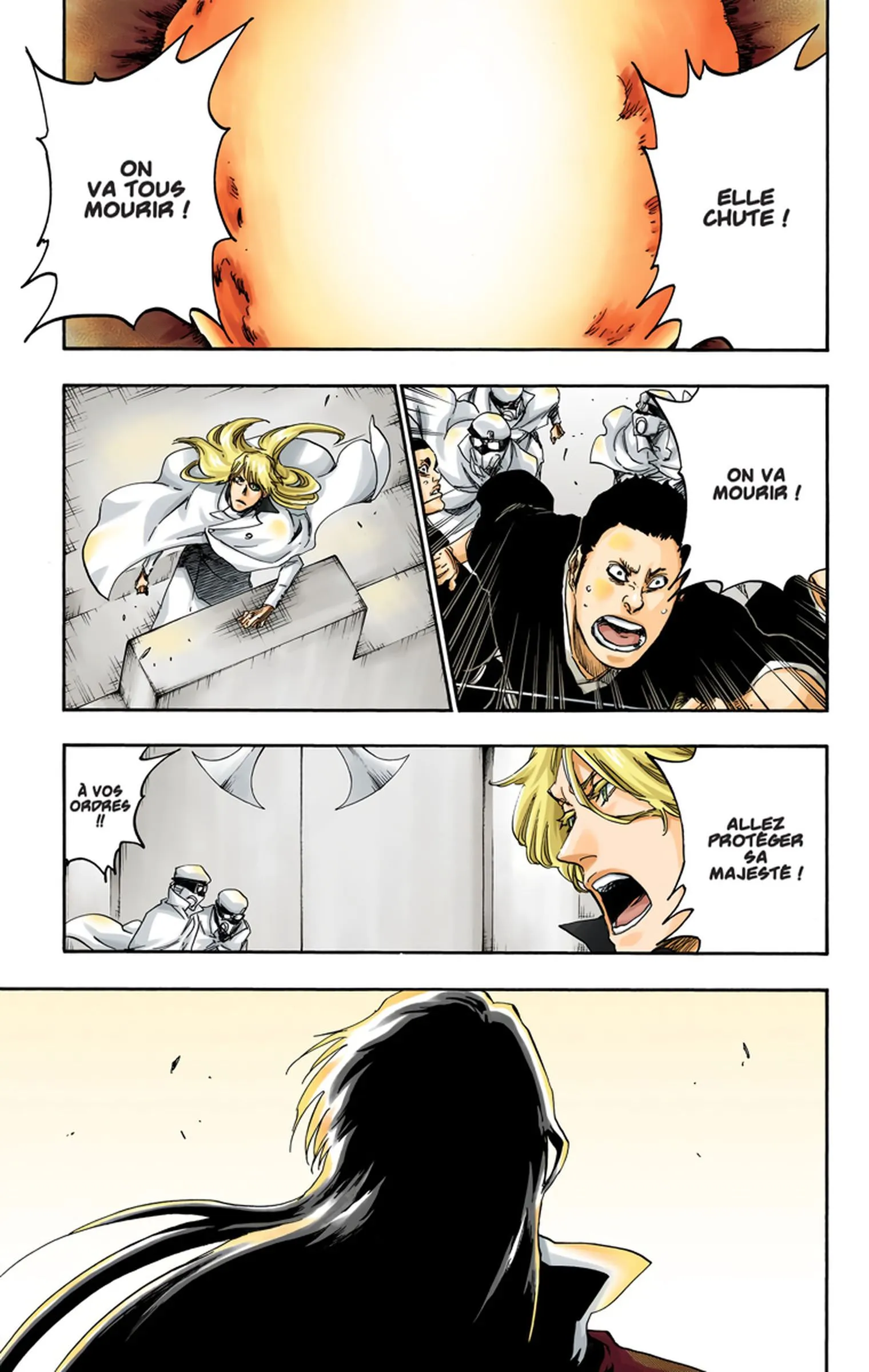 Read Bleach FR Manga Online