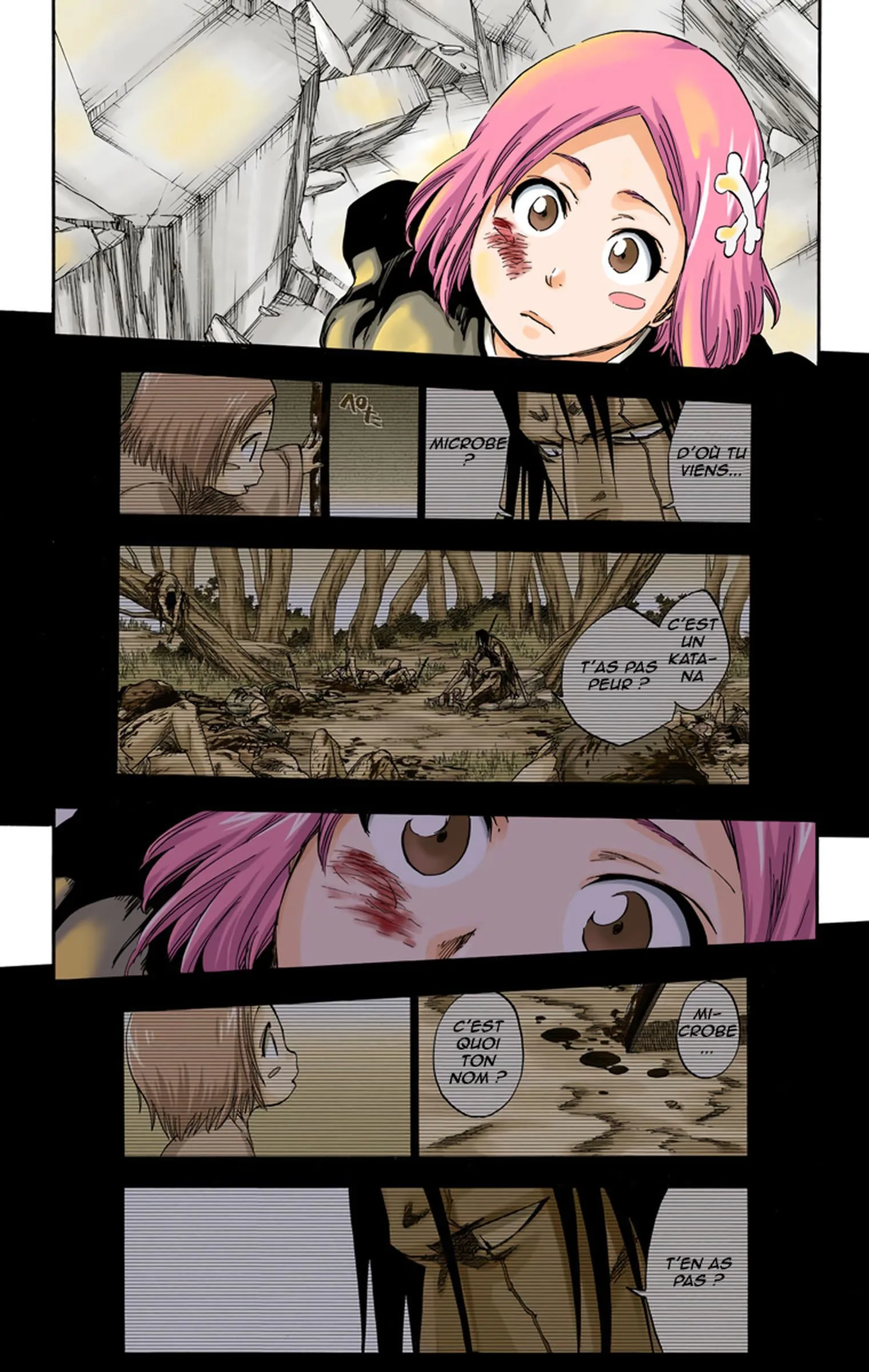 Read Bleach FR Manga Online