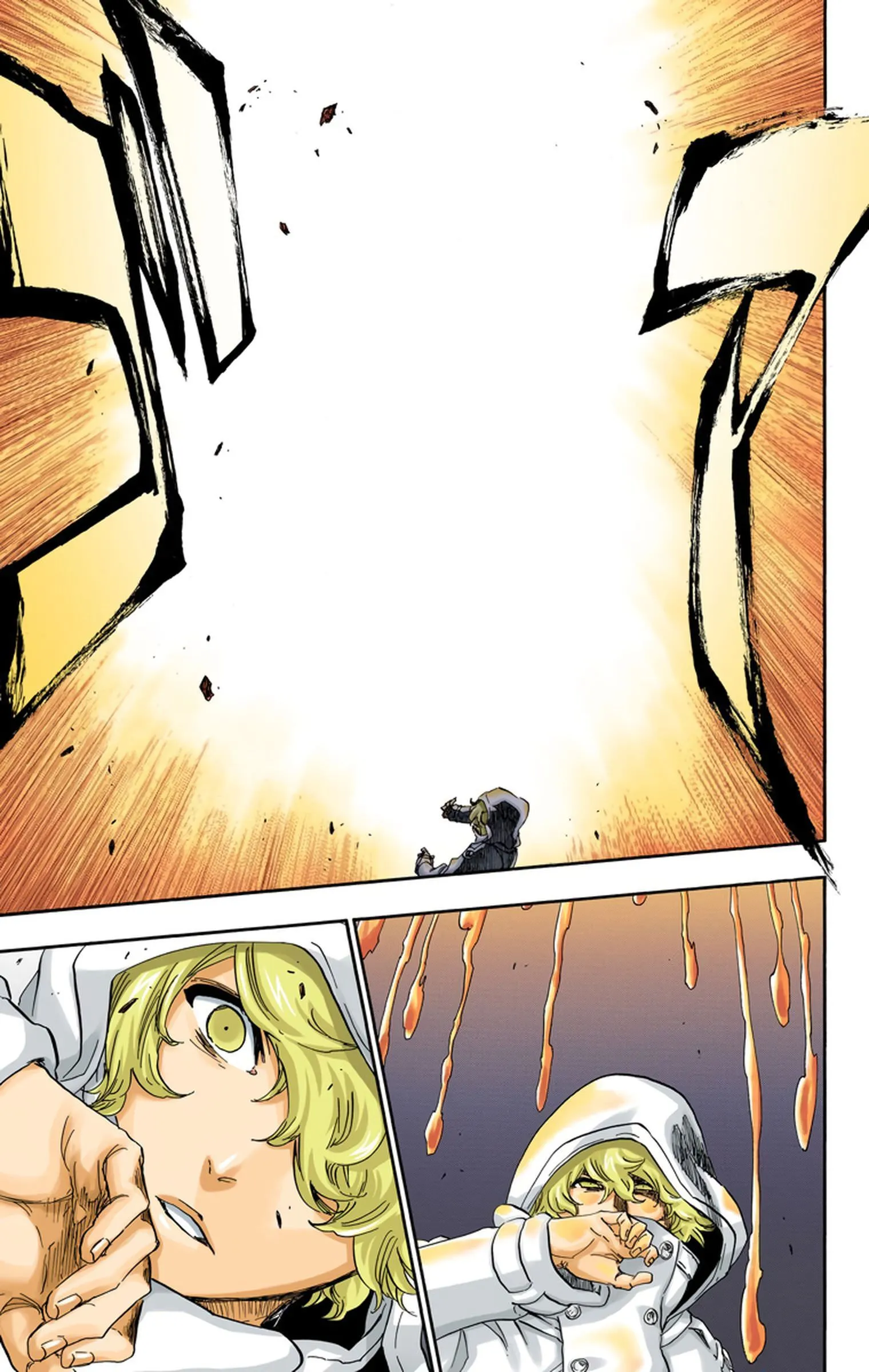 Read Bleach FR Manga Online
