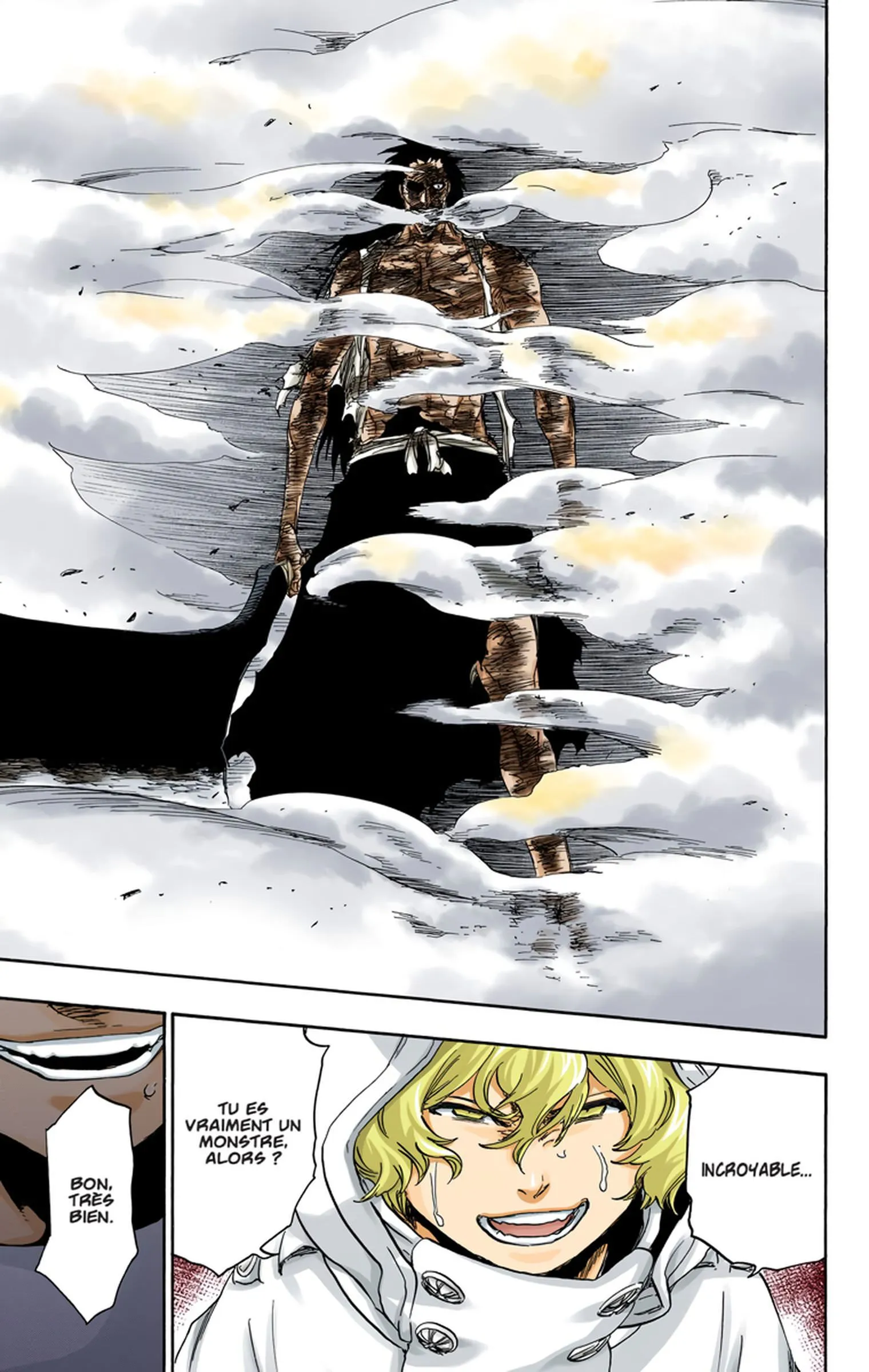 Read Bleach FR Manga Online