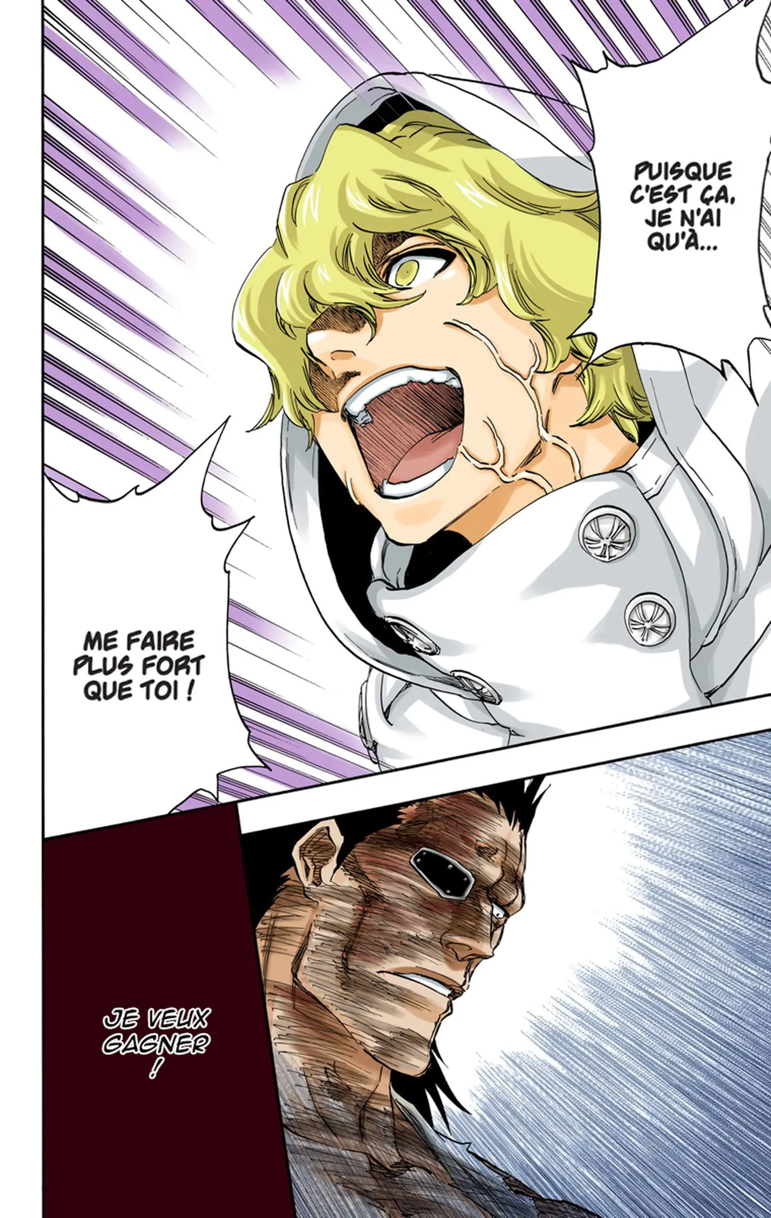 Read Bleach FR Manga Online