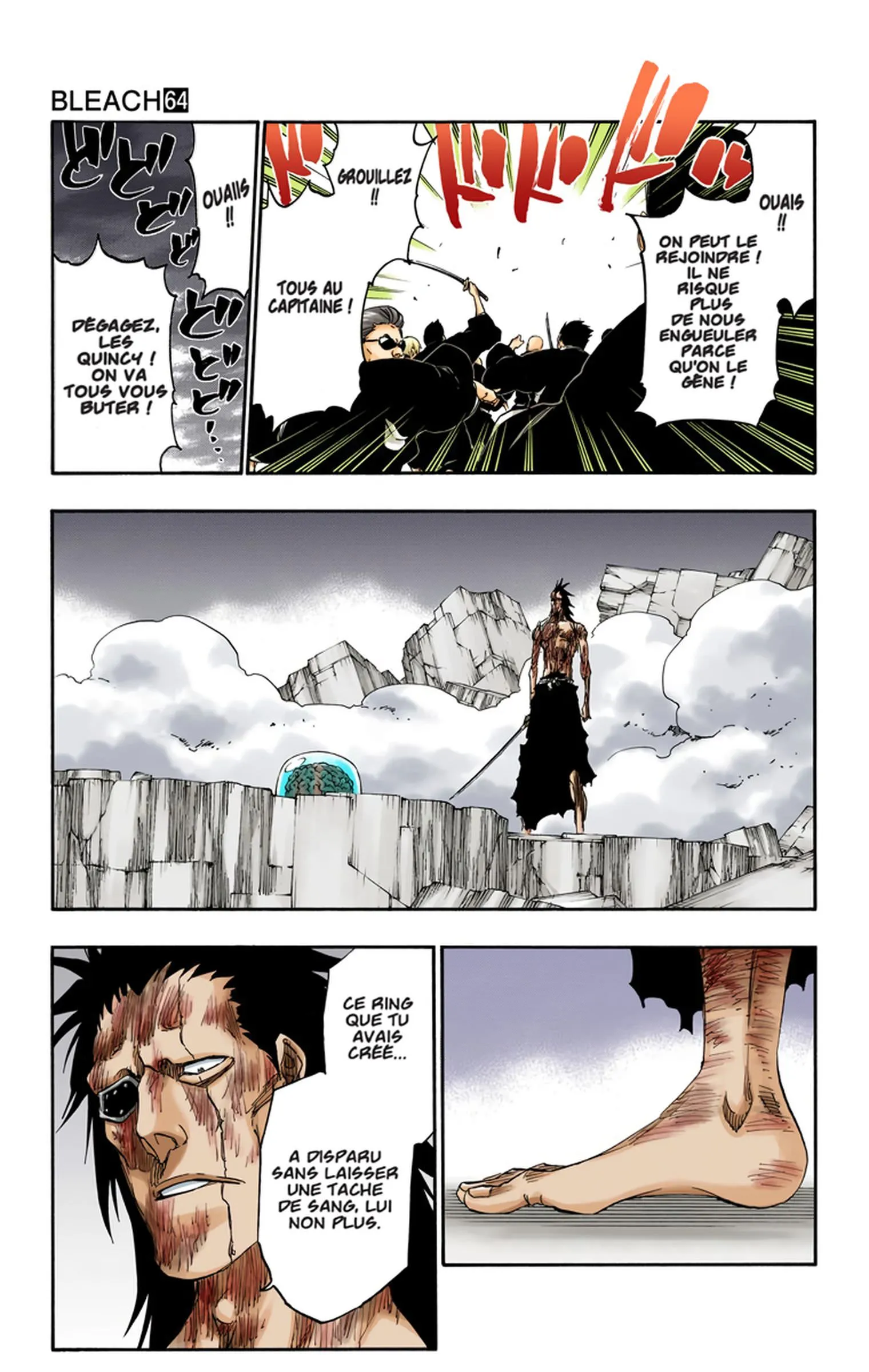 Read Bleach FR Manga Online
